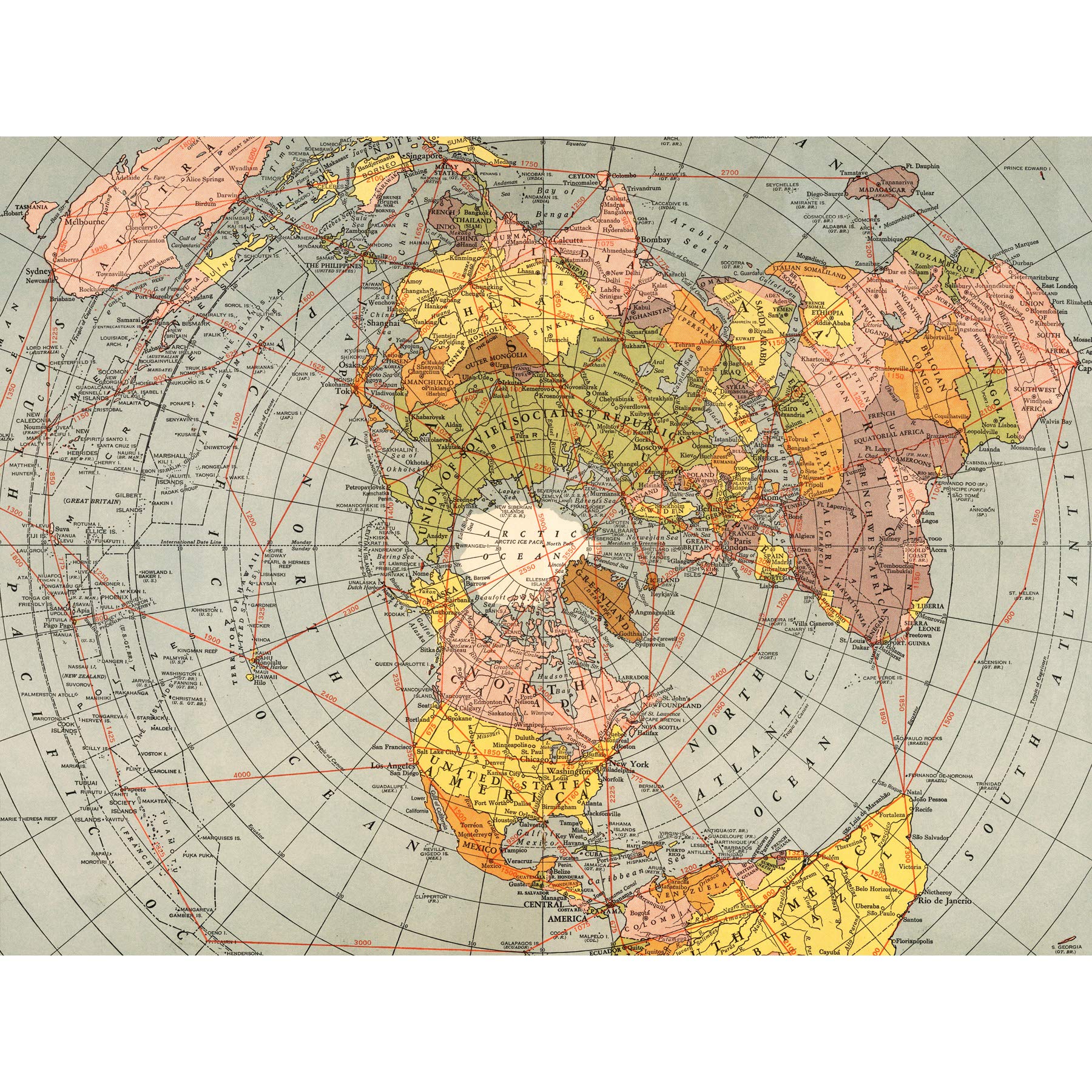 Amazon.co.jp: Map Matthews-Northrup 1943 World Polar Azimuthal