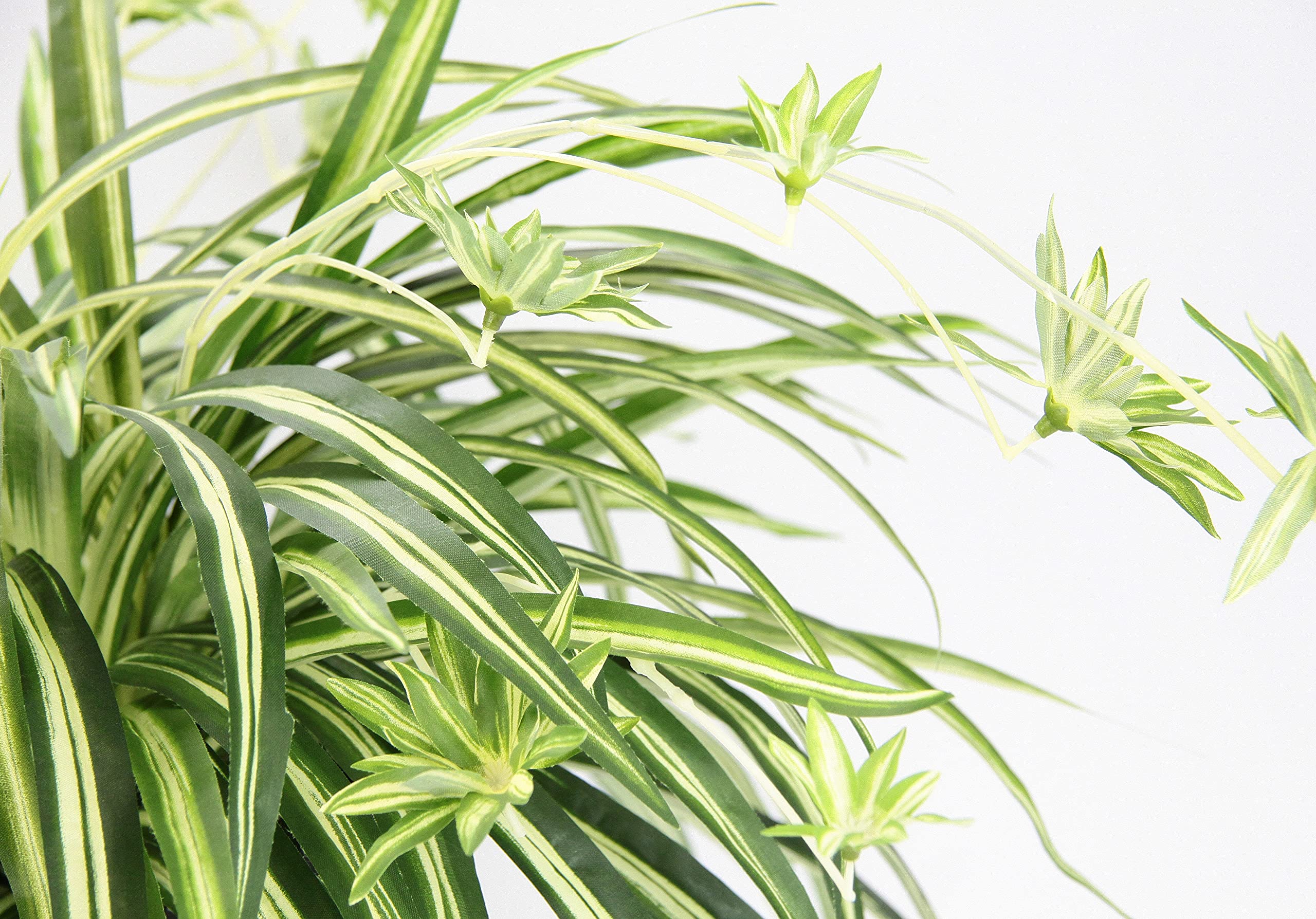 Amazon.de: Knstliche Zimmerpflanze Grnlilie im Topf Chlorophytum  Wasserlilie Spinnenpflanze Spinnenlilie Hngepflanze Kunstpflanze Hngend  Plastikpflanze Unechte Hochzeit Deko Seidenpflanze Seidenblume
