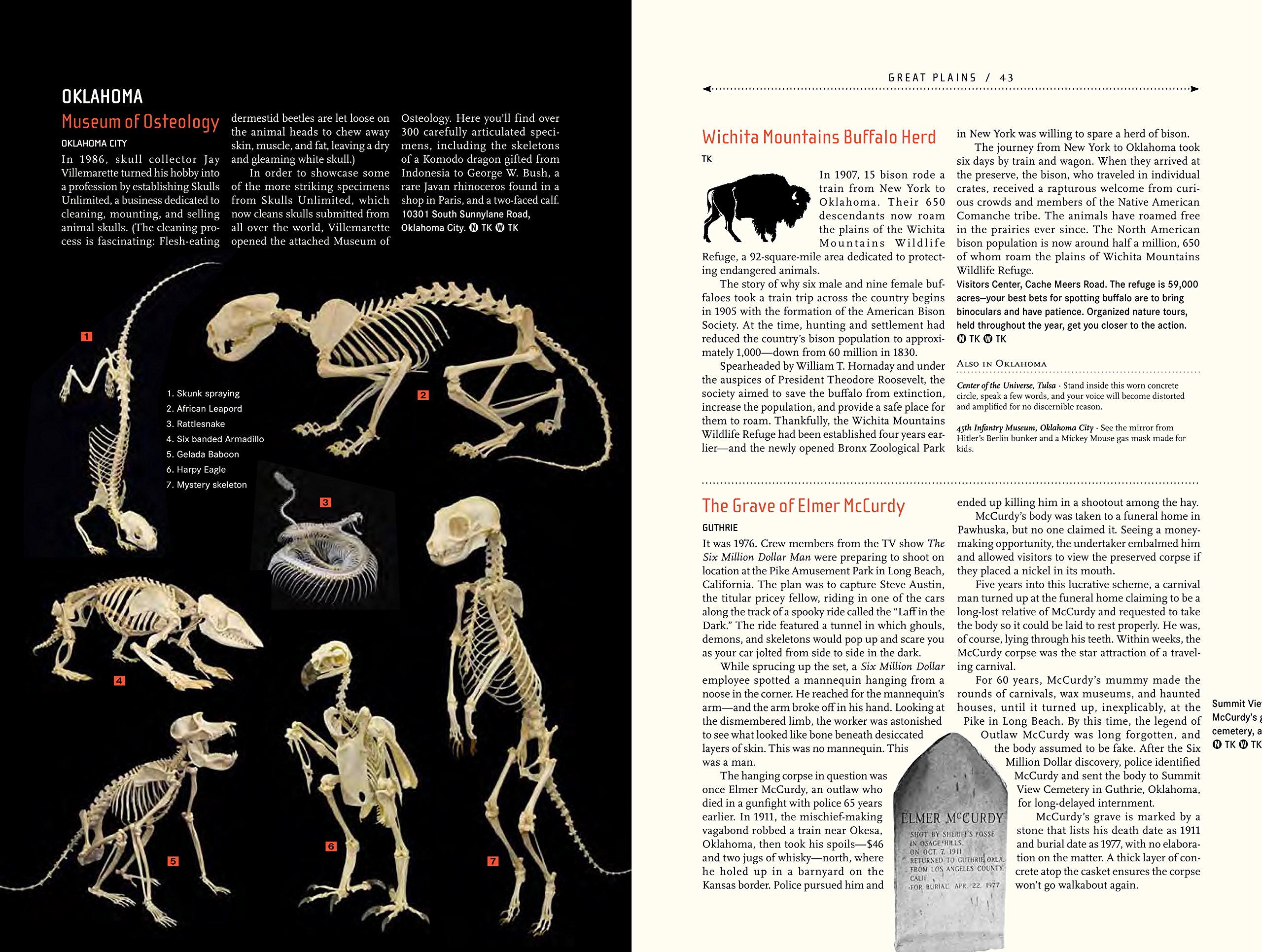 Atlas Obscura: An Explorer's Guide to the World's Hidden Wonders - Image 10