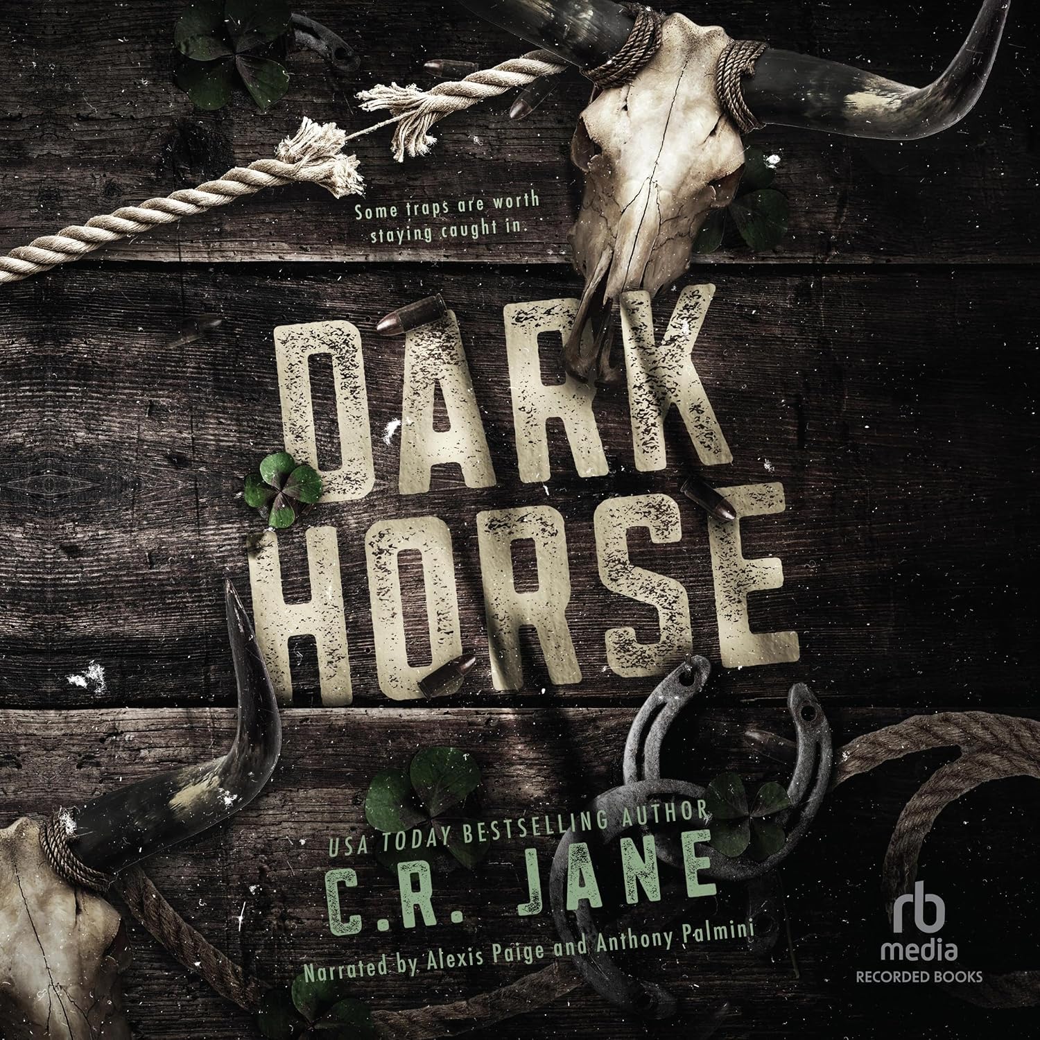 Dark Horse: A Dark Cowboy Romance - C.R. Jane