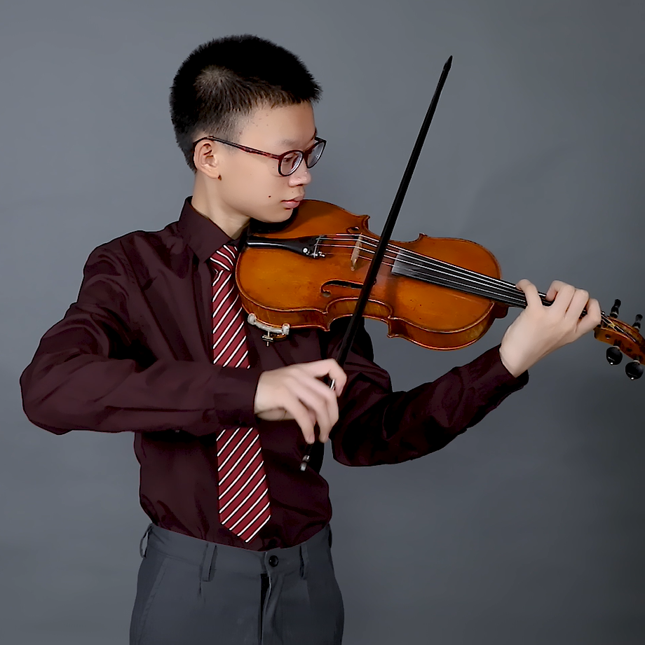 Amazon.com: VINGOBOW: Violin Bow