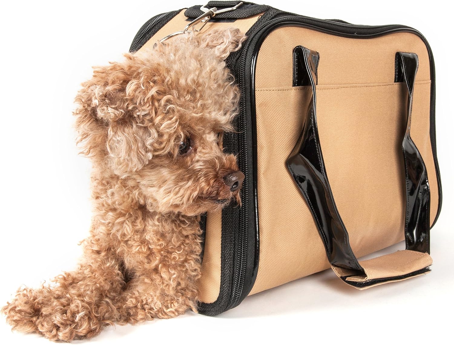 PET LIFE 'Mystique' Airline Approved Fashion Designer Travel Pet Dog Carrier, One Size, Black : Pet Supplies