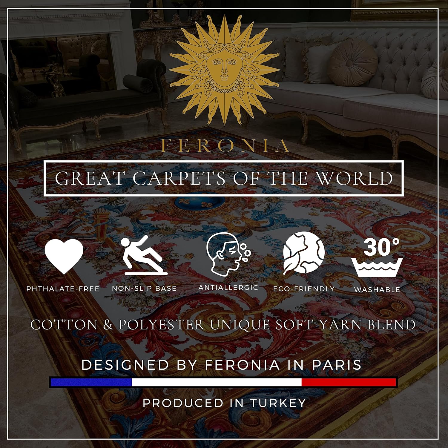 feronia Vintage Luxury Area Rug, 8x10 Area Rugs for Living Room Bedroom, Non Slip Baroque Rug, Machine Washable Low Pile - Roi du Soleil