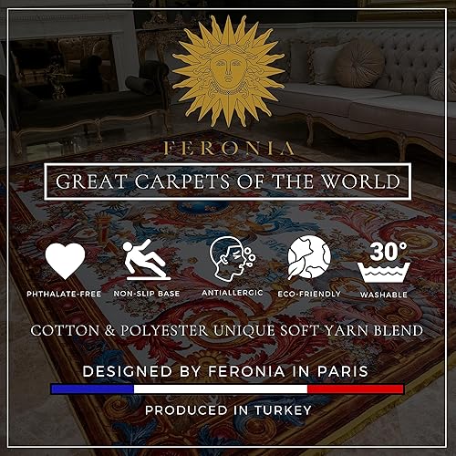 Miniatura 8 de FERONIA Vintage Luxury Area Rug - Non Slip Baroque Rug, Machine Washable Low Pile Area Rug for Living Room, Bedroom - Reine du Soleil - 8 x 10