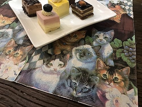 Miniatura 4 de WallyE - Servilletas de papel para gatos, diseño de animales de mascota, estilo Shabby Chic Servilletas para Decoupage, paquete de 20