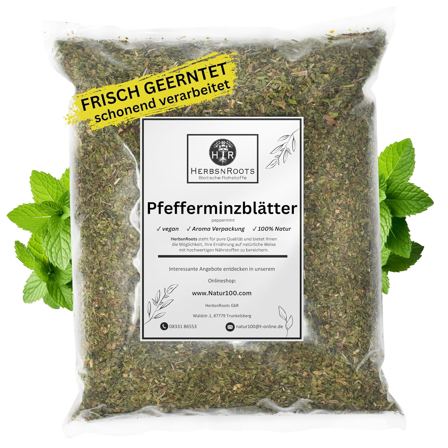 Peppermint Leaves 500 g   Herbal Tea Classic   First Choice   Intense Taste   HerbsnRoots