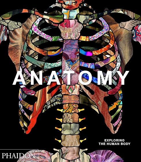 Anatomy: Exploring the Human Body