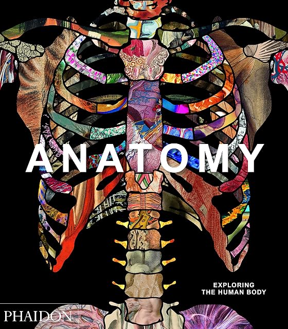 Portada de Anatomy: Exploring the Human Body