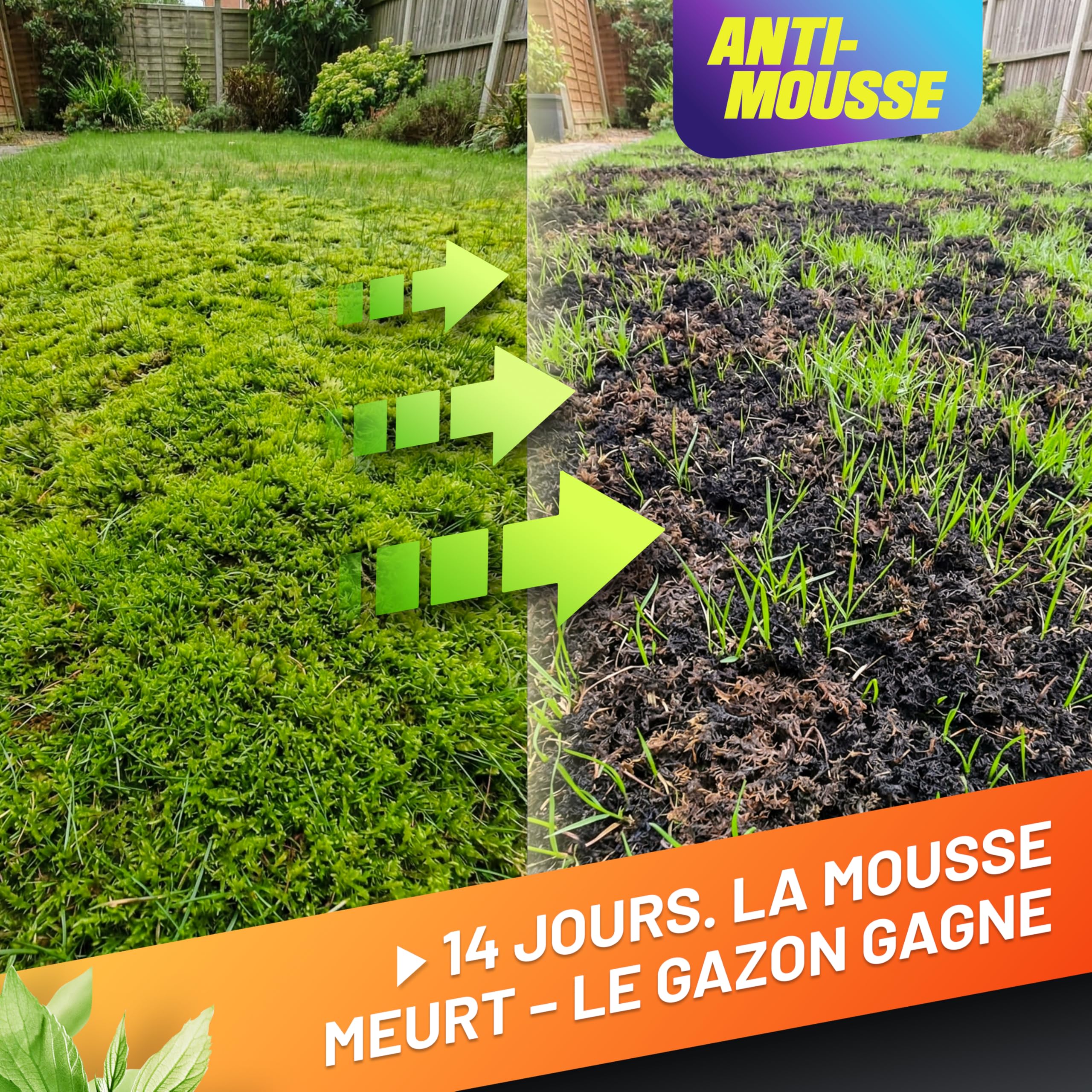 GRÜNTEK Engrais Gazon Anti-Mousse Été Automne Hiver NPK 15-5-24 – Engrais Pelouse Longue Durée 3 Mois, Protection Chaleur Sécheresse Gel – Engrais Universel Jardin Tomate Fraisier Rosier – 5 kg
