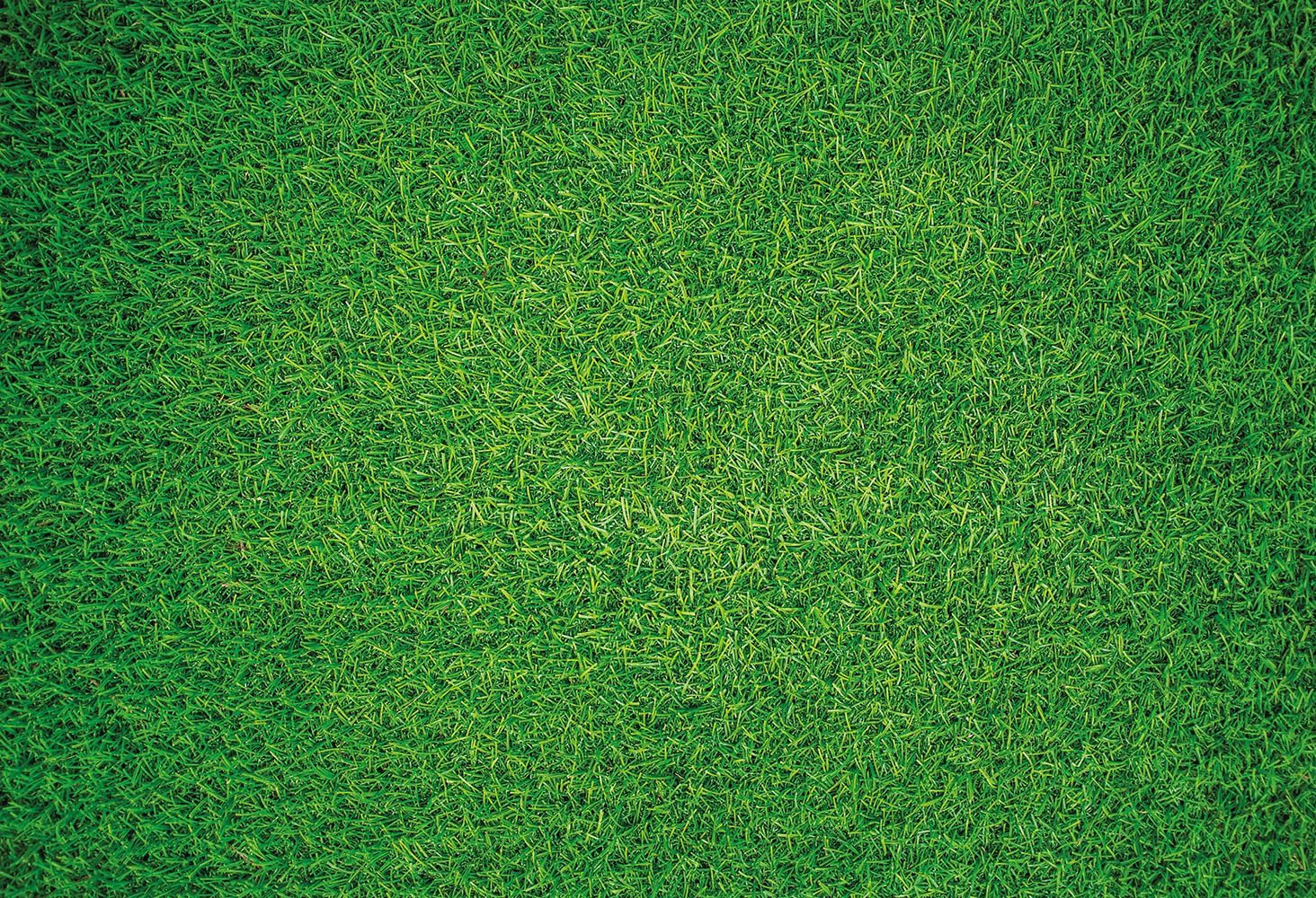 Hard Jigsaw Puzzles - Impuzzible Natural Grass 1000 Piece Jigsaw Puzzle for Adults - 66cm X 50cm - Challenging Jigsaw Puzzles, Great Gift for All Ages