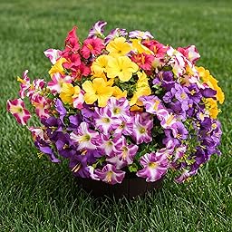 Artificial Flowers for Outdoors Fake Plants Outside Decoration, 12 Bundles Silk Petunia with Eucalyptus UV Resistant Realistic Faux Flowers for Outdoor Planters Garden Balcony (6 Color)