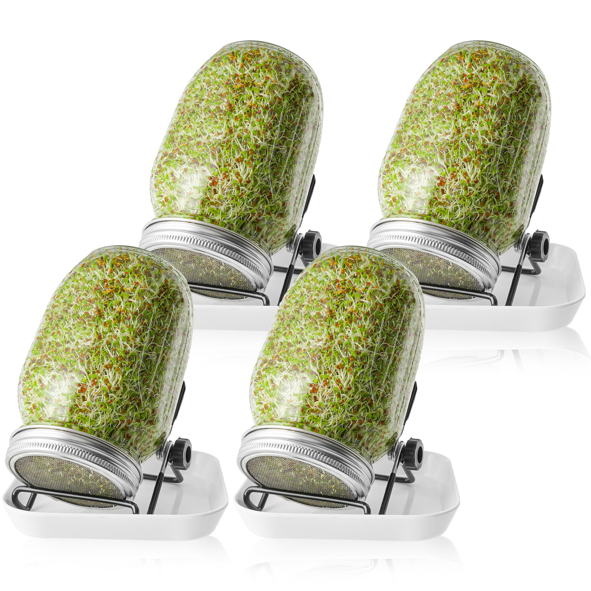 Sprossenglas Set|2er-Set 1000ml Keimglas mit Deckeln und Haltern und Schalen|Sprossengläser für die Sprossenzucht und Keimung von Samen,Sprouting Glass (4er-Set)