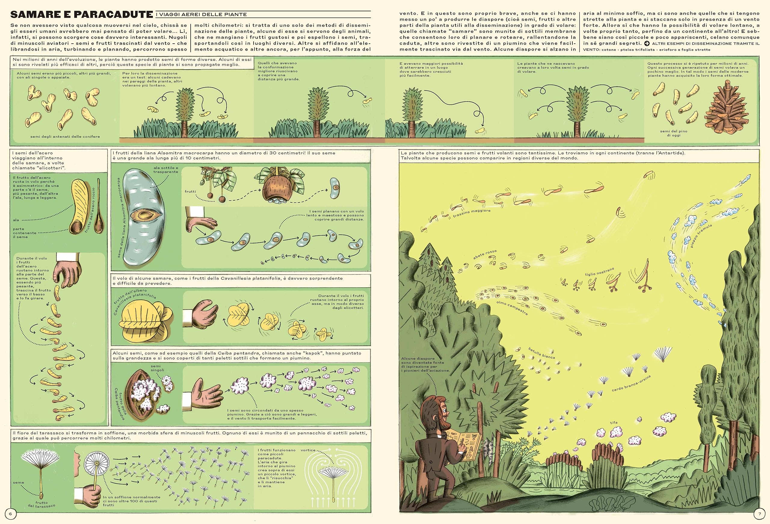 In alto! Storia illustrata dell'aviazione. Ediz. a colori