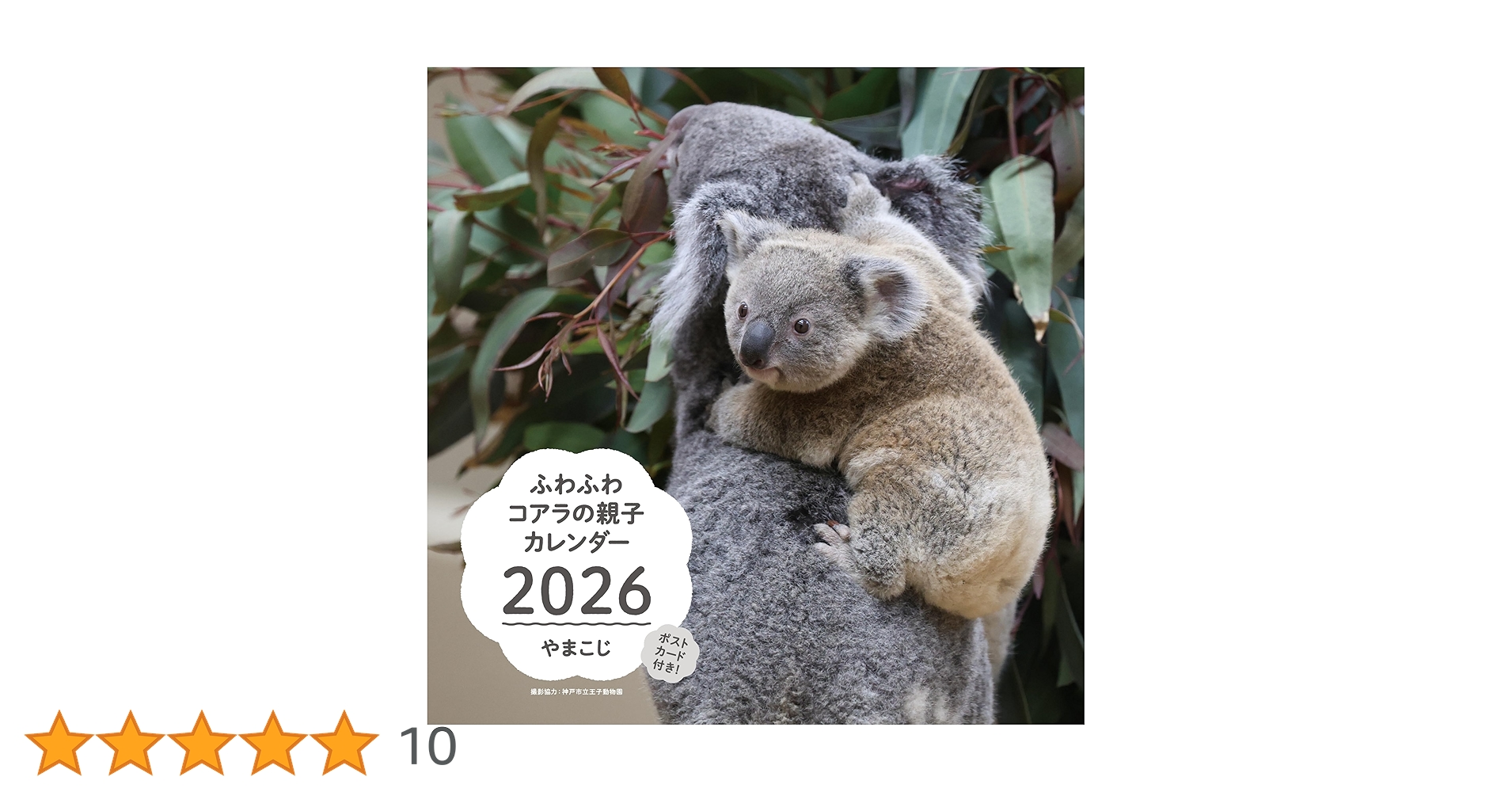 Amazon.co.jp: ふわふわコアラの親子カレンダー 2026【ポストカード