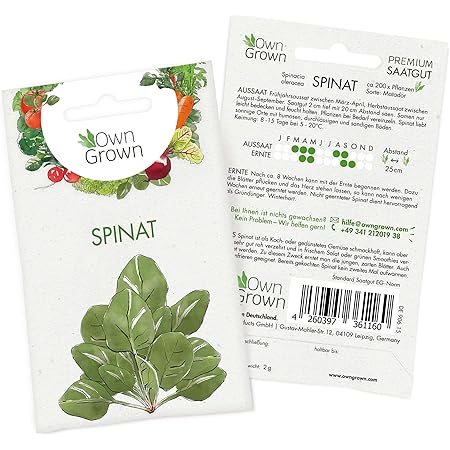 OwnGrown Premium Spinat Samen (Spinacia oleracea), Spinatsamen zum Anbauen, Saatgut für rund 200 Spinat Pflanzen Sorte Spinat Matador