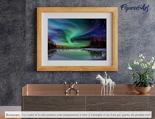 Vista 500 de Figured'Art - Juego de pintura por números, lienzo enrollado sin marco, para manualidades, para adultos, 16 x 20 pulgadas, jarrón de peonías