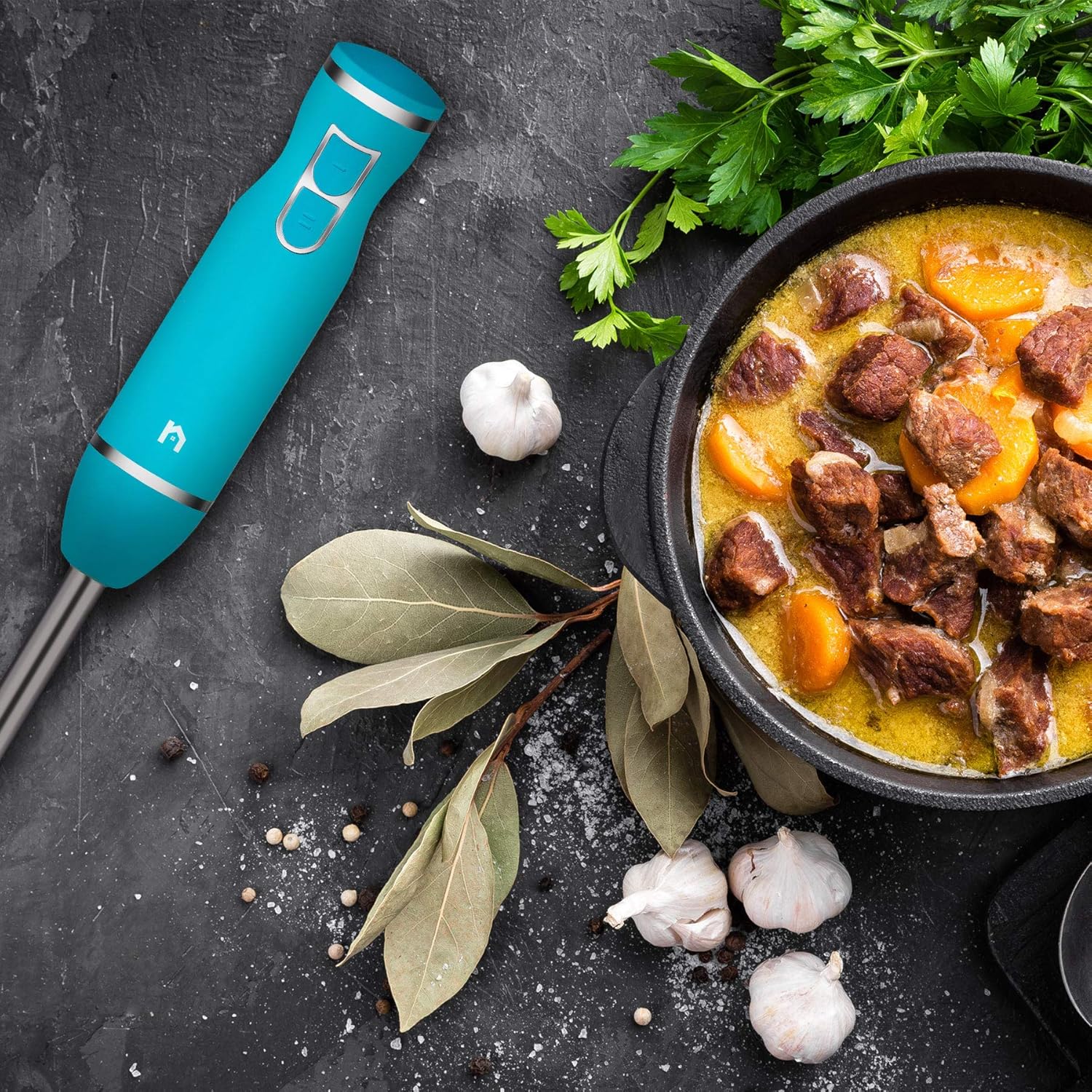 Immersion Hand Blender 2 Speed Stick Mixer with Stainless Steel Shaft & Blade, 300 Watts Easily Food, Mixes Sauces, Purees Soups, Smoothies, and Dips, Turquoise