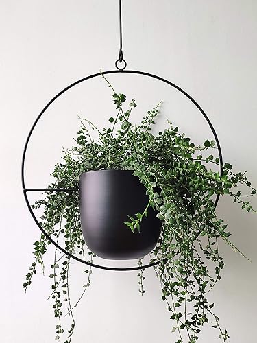 Colgador bohemio de metal negro para plantas, maceta colgante de pared y techo de metal, maceta moderna, soporte para macetas de mediados de siglo,