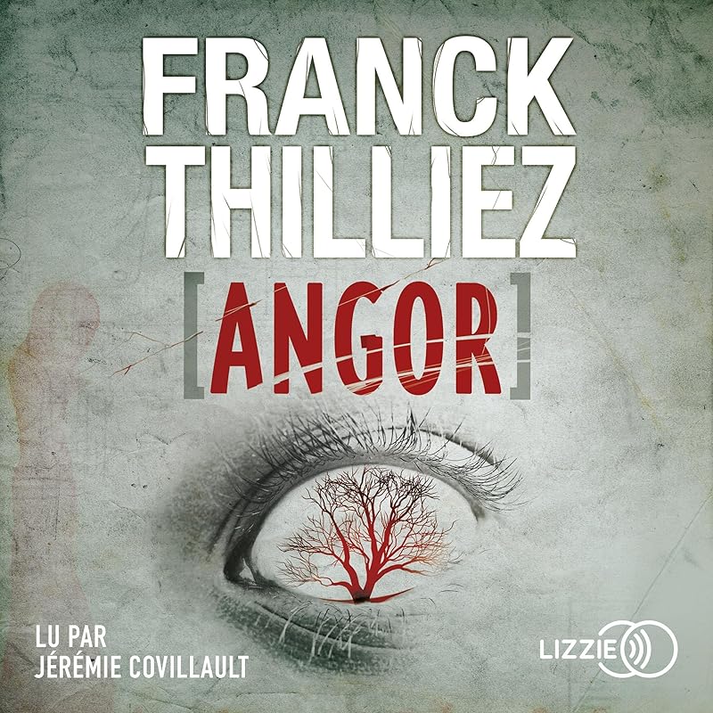 Dans quel ordre lire Franck Thilliez ? Audible.fr