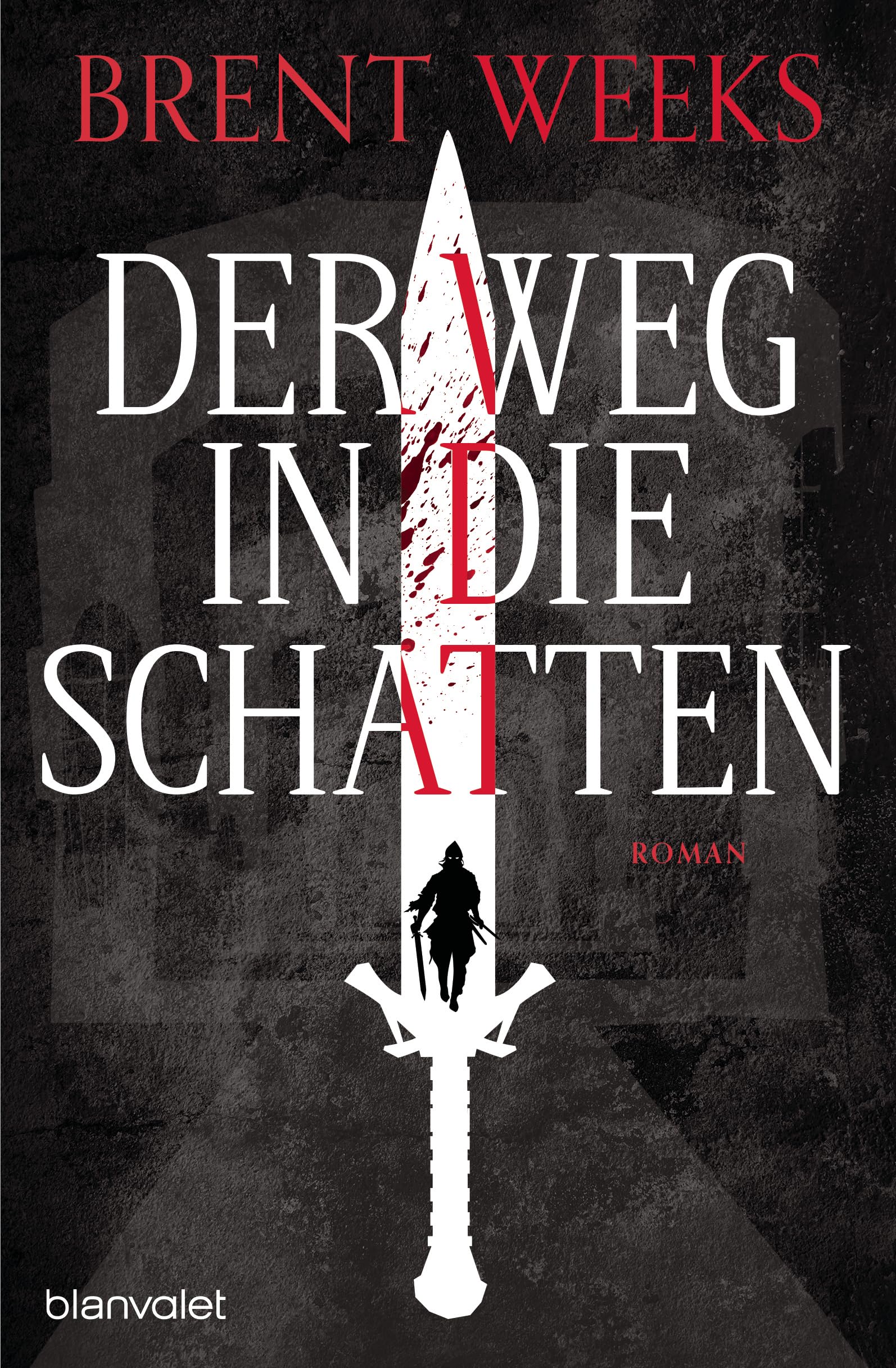 Der Weg in die Schatten: Roman