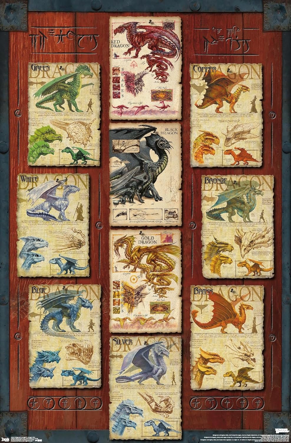 Trends International Dungeons and Dragons - Dragon Grid Wall Poster, 34L x 22.4W, Premium Unframed Version