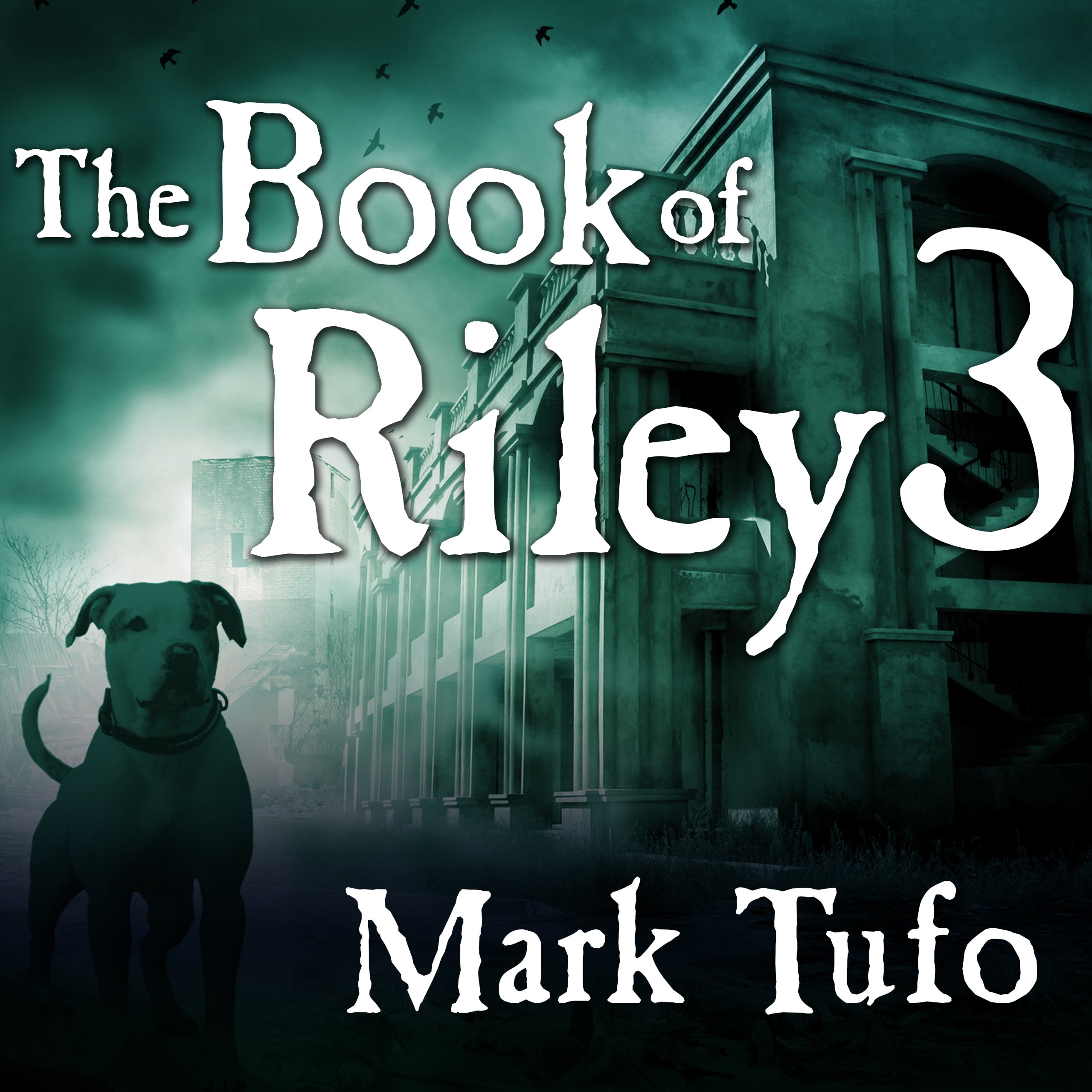 Cover art for The Book of Riley 3