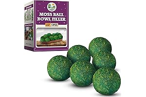 DUSPRO Moss Balls: Adorn Your Spaces with Natural Elegance