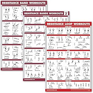Palace Learning 3 Pack: Resistance Bands Workouts Volume 1 & 2 + Resistance Loops Exercises Poster Set - Set of 3 Workout Charts (Laminated, 18" x 24")