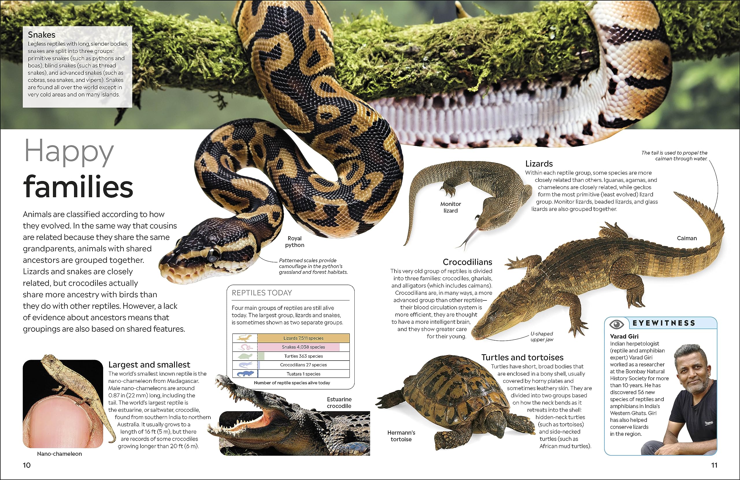 Eyewitness Reptile (DK Eyewitness) - Image 5