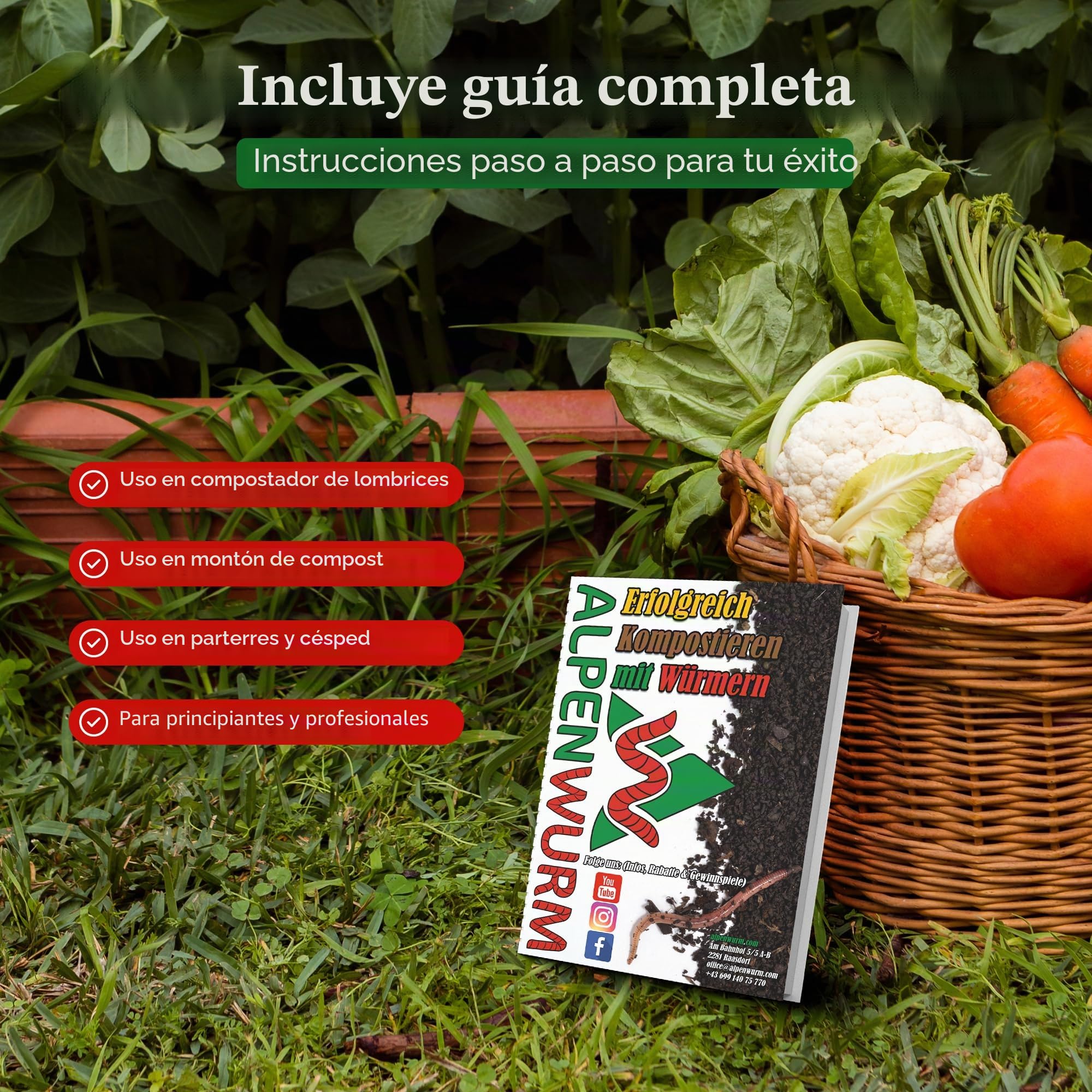 0,5 kg de gusanos compostables (aprox. 500 unidades)
