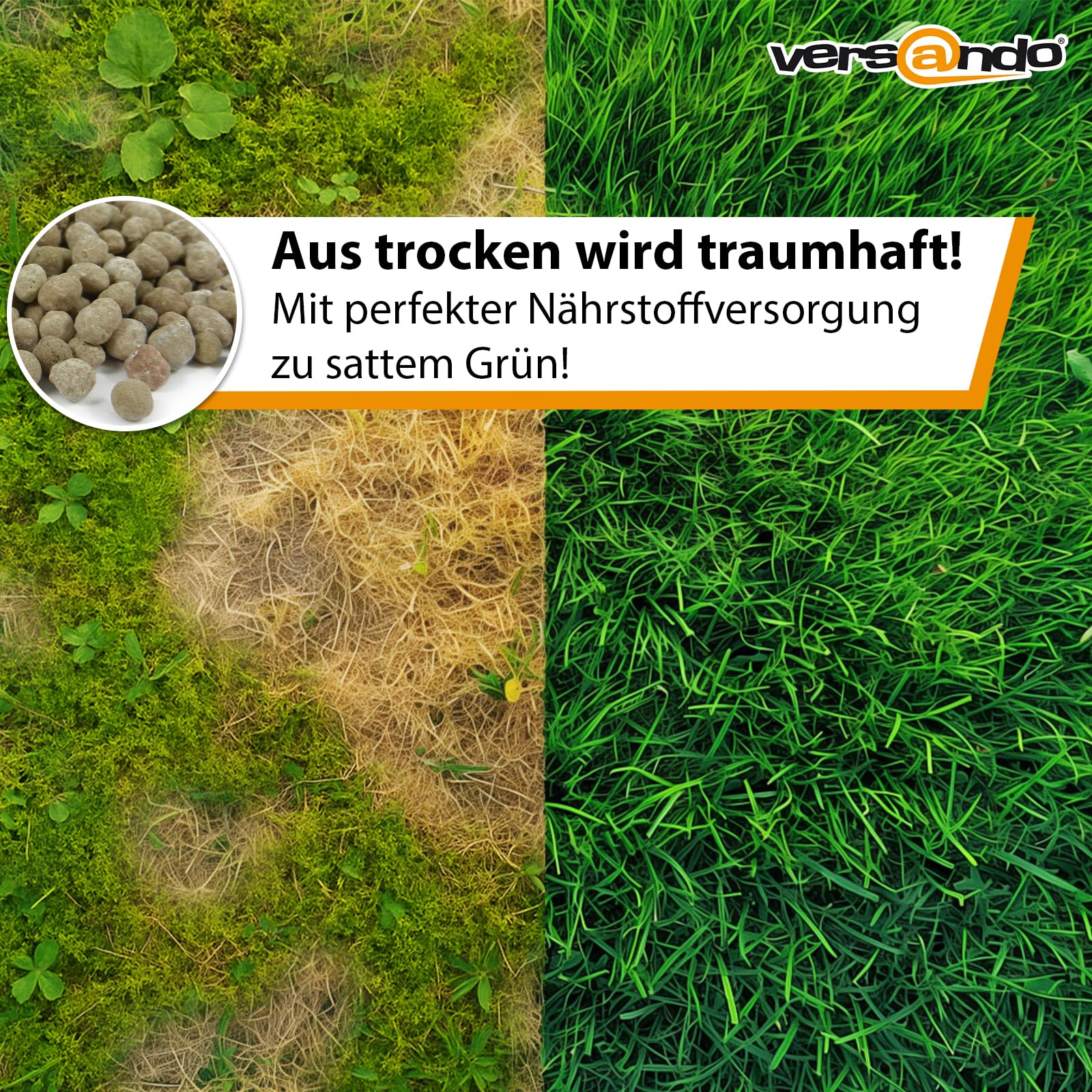 versando 10kg bis 500m² Rasendünger Sommer: verdrängt Moos und Unkraut für gesunden sattgrünen Rasen Sommerdünger mit Sofortwirkung - Premium Qualität
