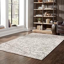 Oriental Weavers Nebulous Area Rug - 2060W - 3'3" x 5' - in Ivory/Grey - Modern Style, Stain Resistant, Family and Pet Friendly, Entrway, Bedroom Rug