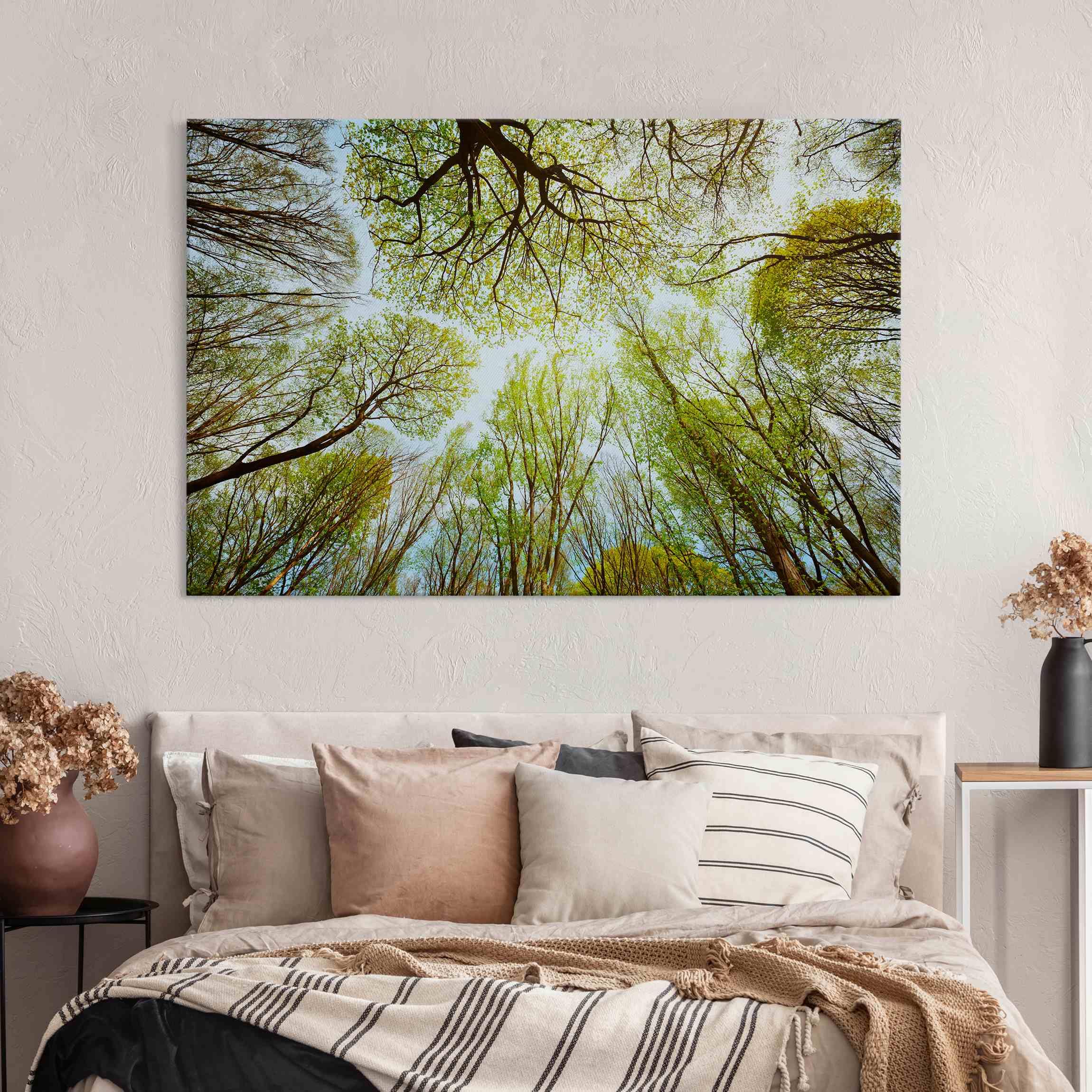 micasia Akustikbild Wald Bäume Natur Schallschutzbild 4cm Keilrahmen & Schallabsorber - Baum Modern grün Wohnzimmer Schlafzimmer Bild für bessere Raumakustik 1701 (150x100cm)