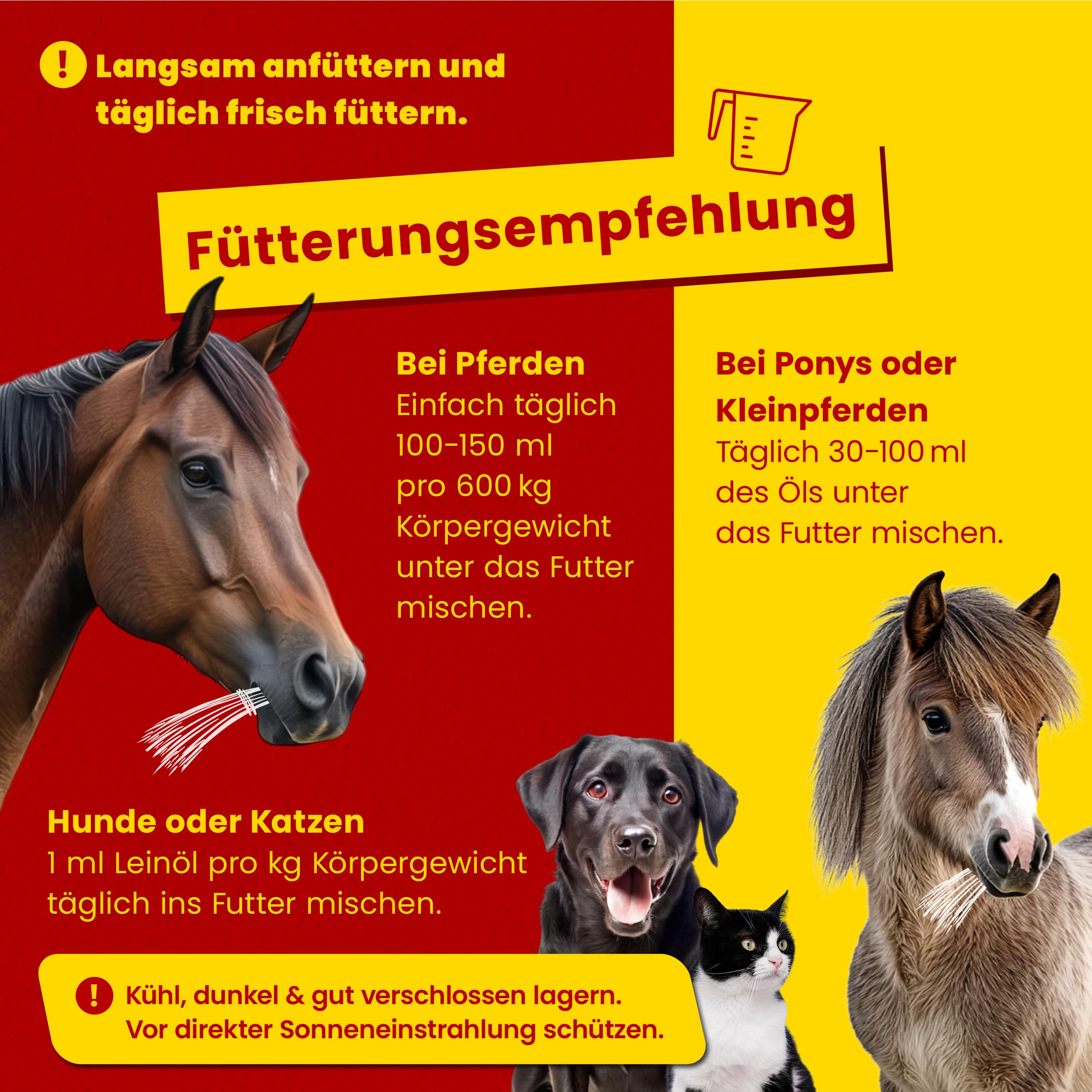 Scheidler horse-direkt Leinöl für Pferde, Hunde & Katzen 10 Liter – Mühlenfrisch kaltgepresstes Leinsamenöl ohne Zusätze – Reich an Omega 3 & 6 für Fellwechsel/Barf Öl – Aus Deutschland