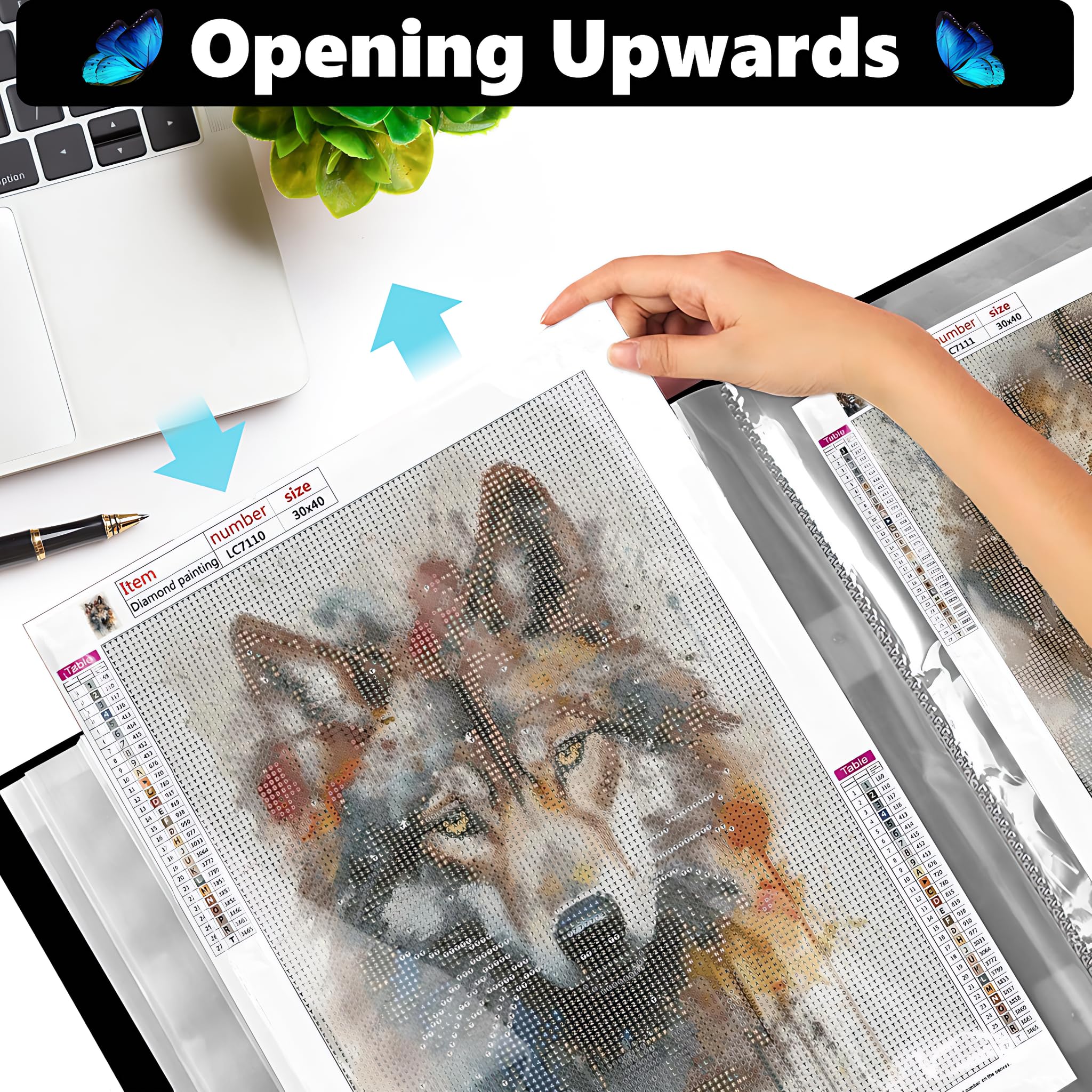 Bellatoi Diamond Painting Album A3 - Sammelmappe Für 60 Bilder 30x40 Cm