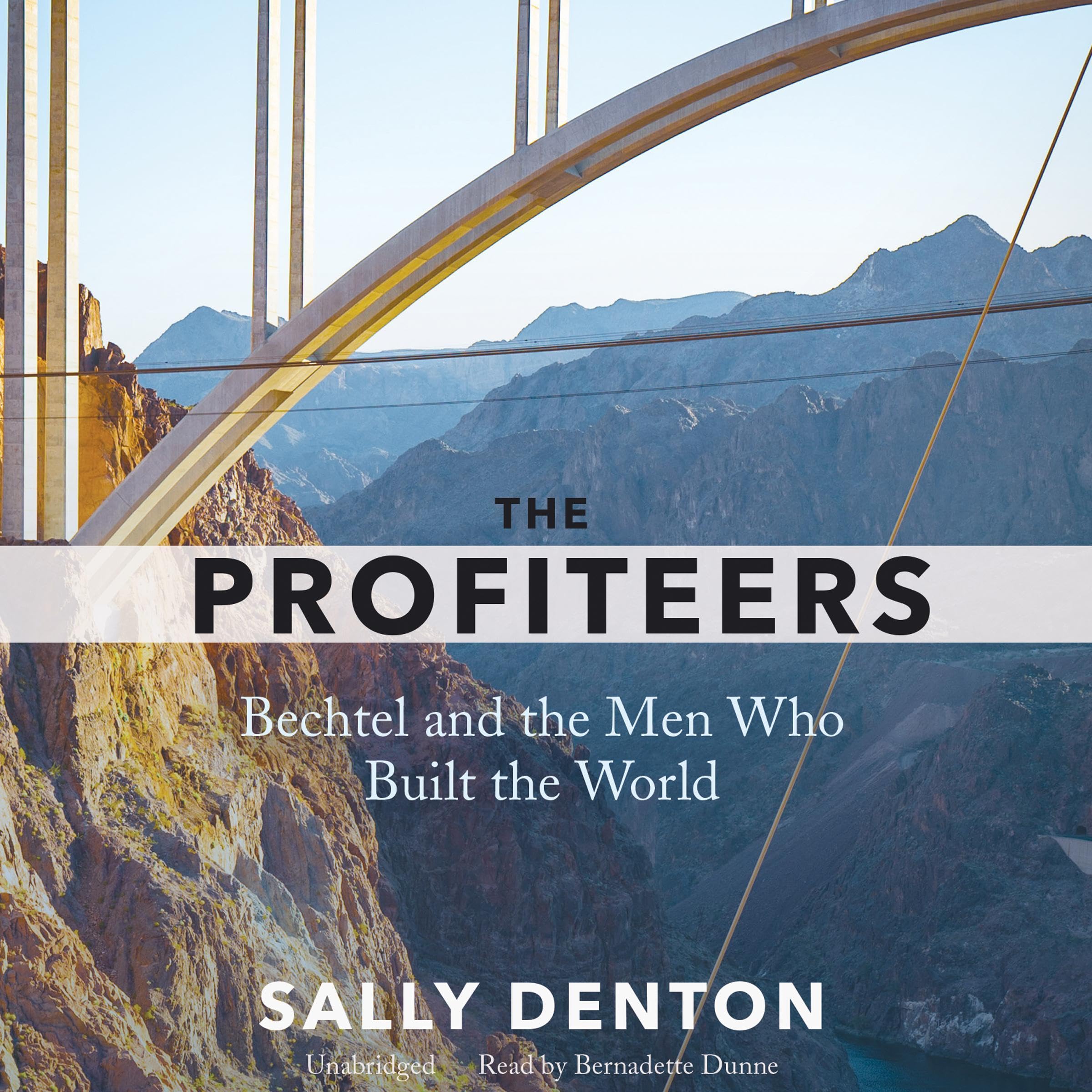 Cover art for The Profiteers