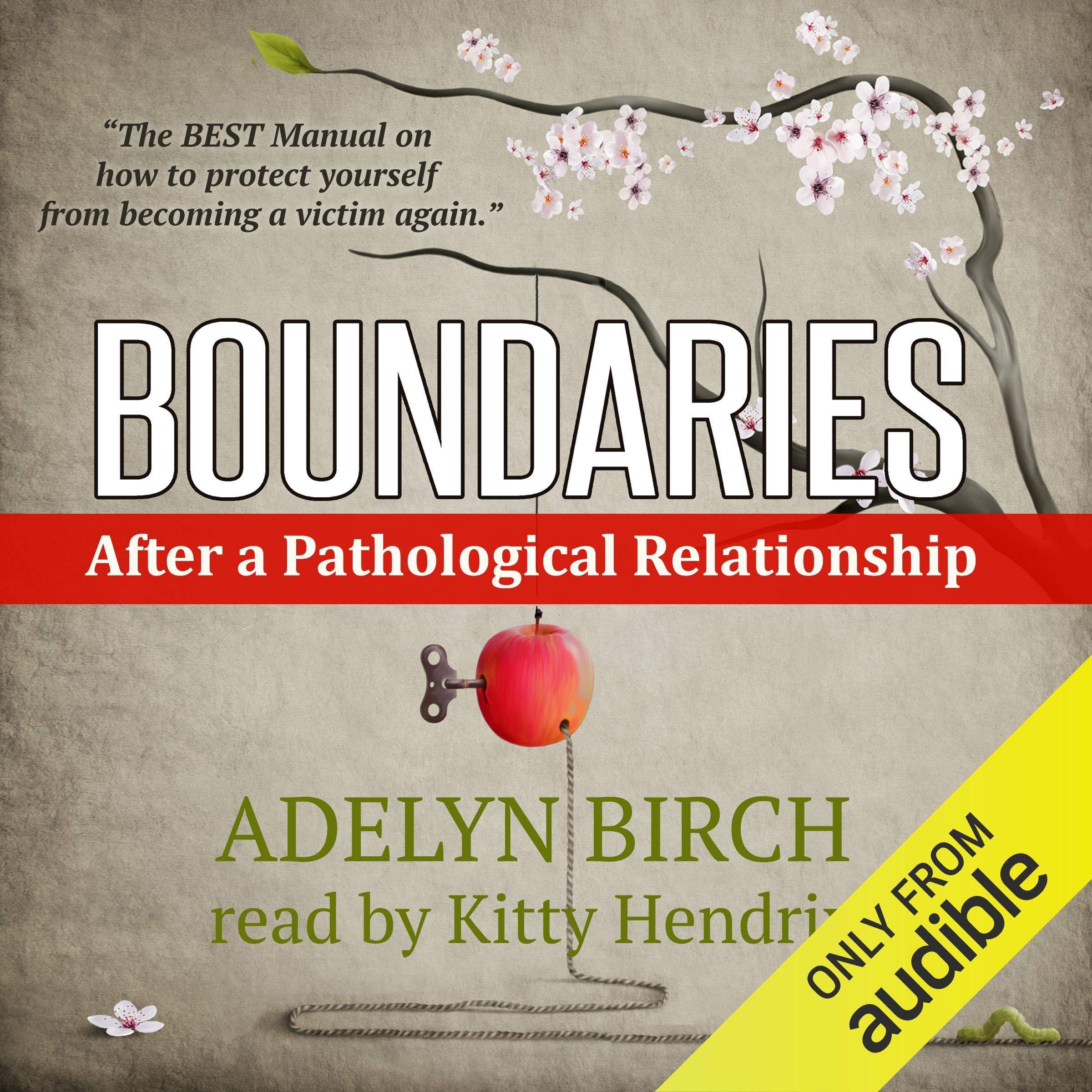 Cover art for Boundaries After a Pathological Relationship