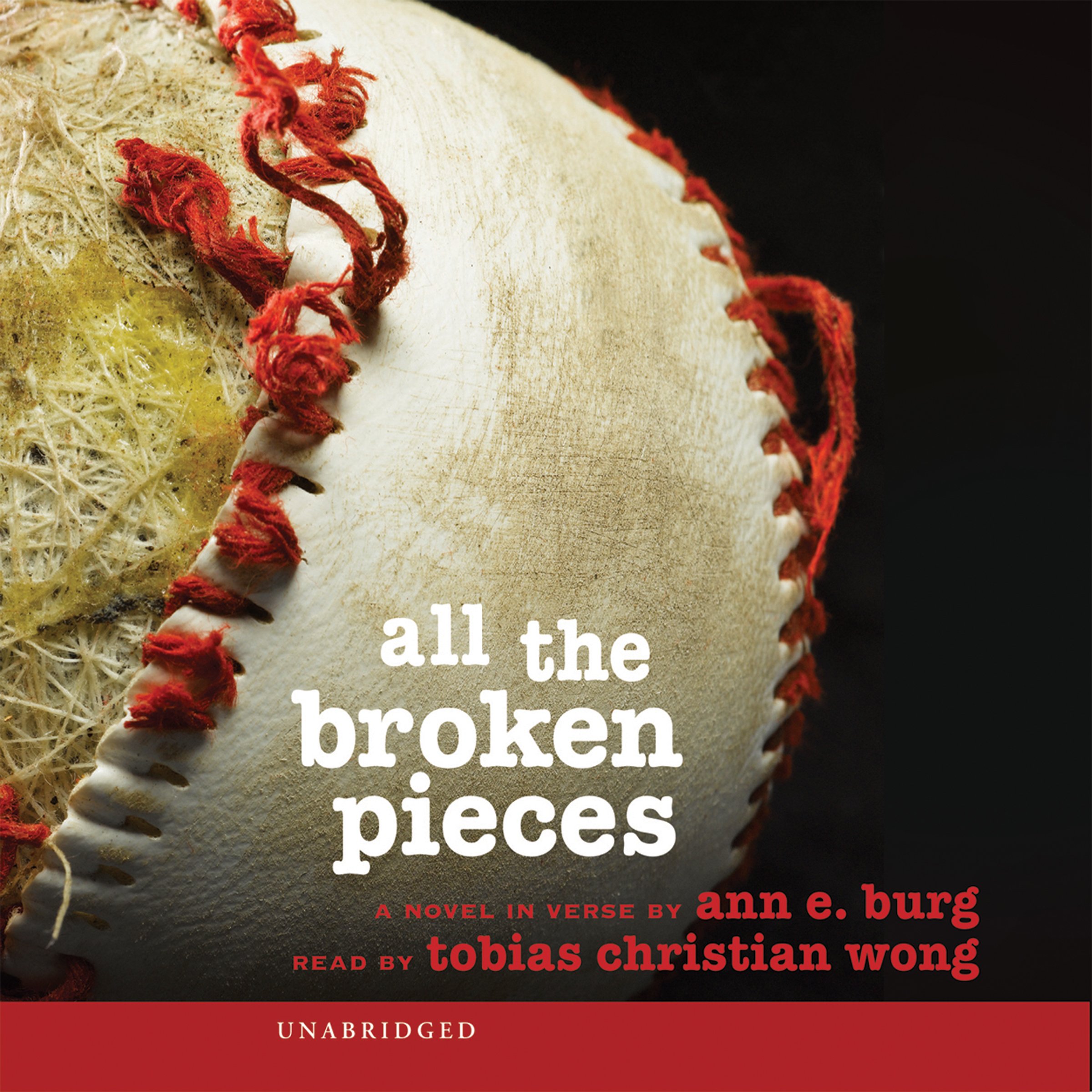 Cover art for All the Broken Pieces