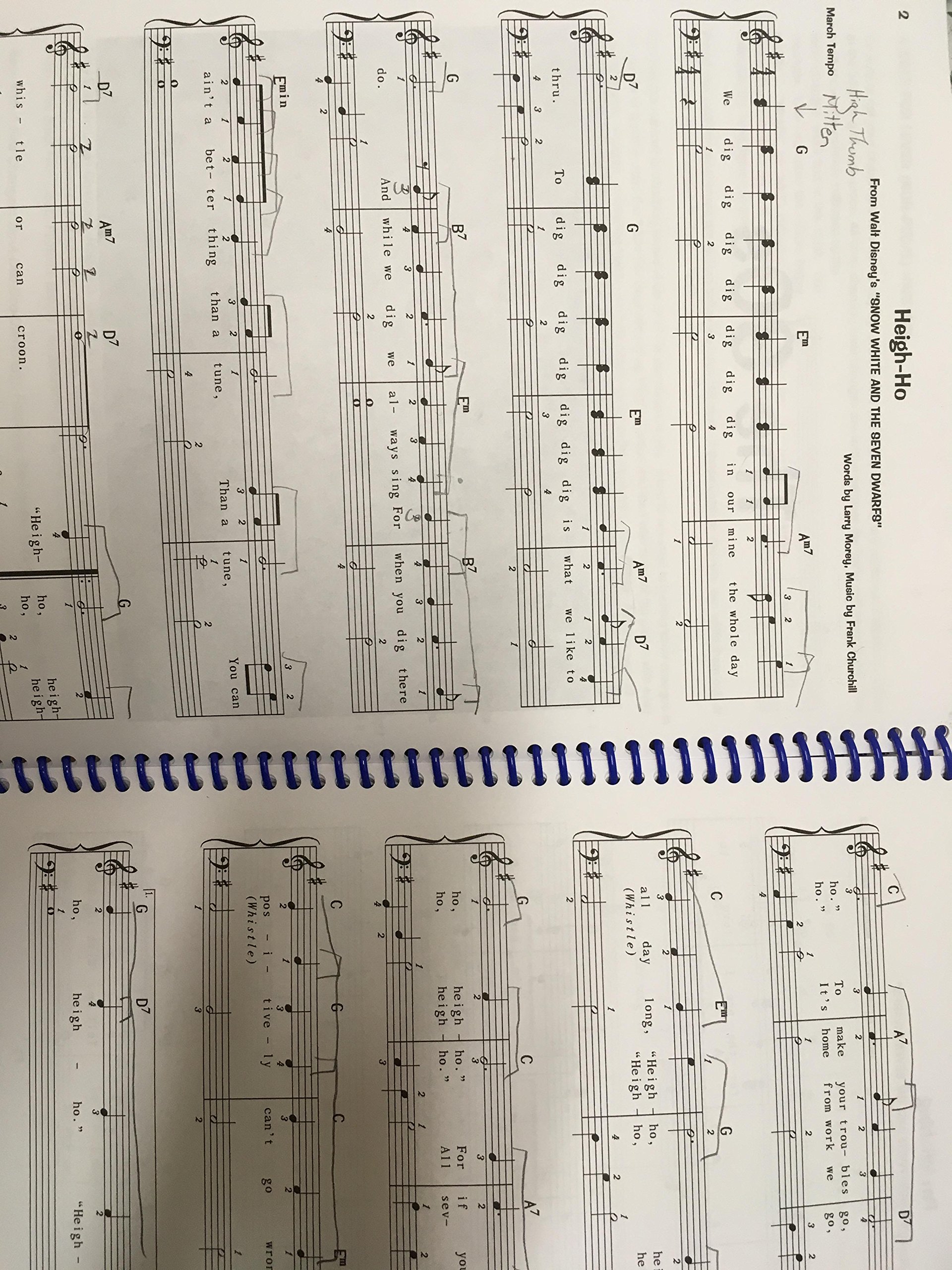 76 Disney Songs for the Harp by Woods, Sylvia (2006) Spiral-bound