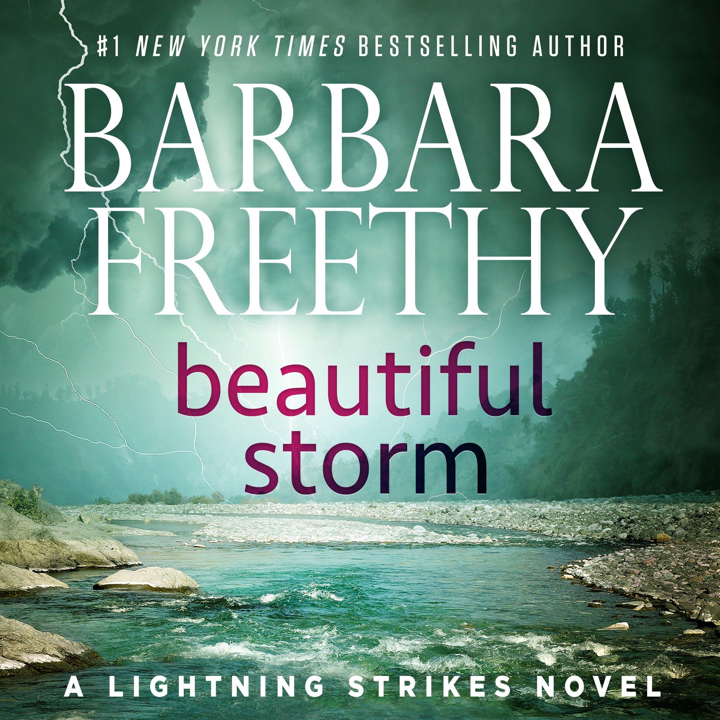 Cover art for Beautiful Storm