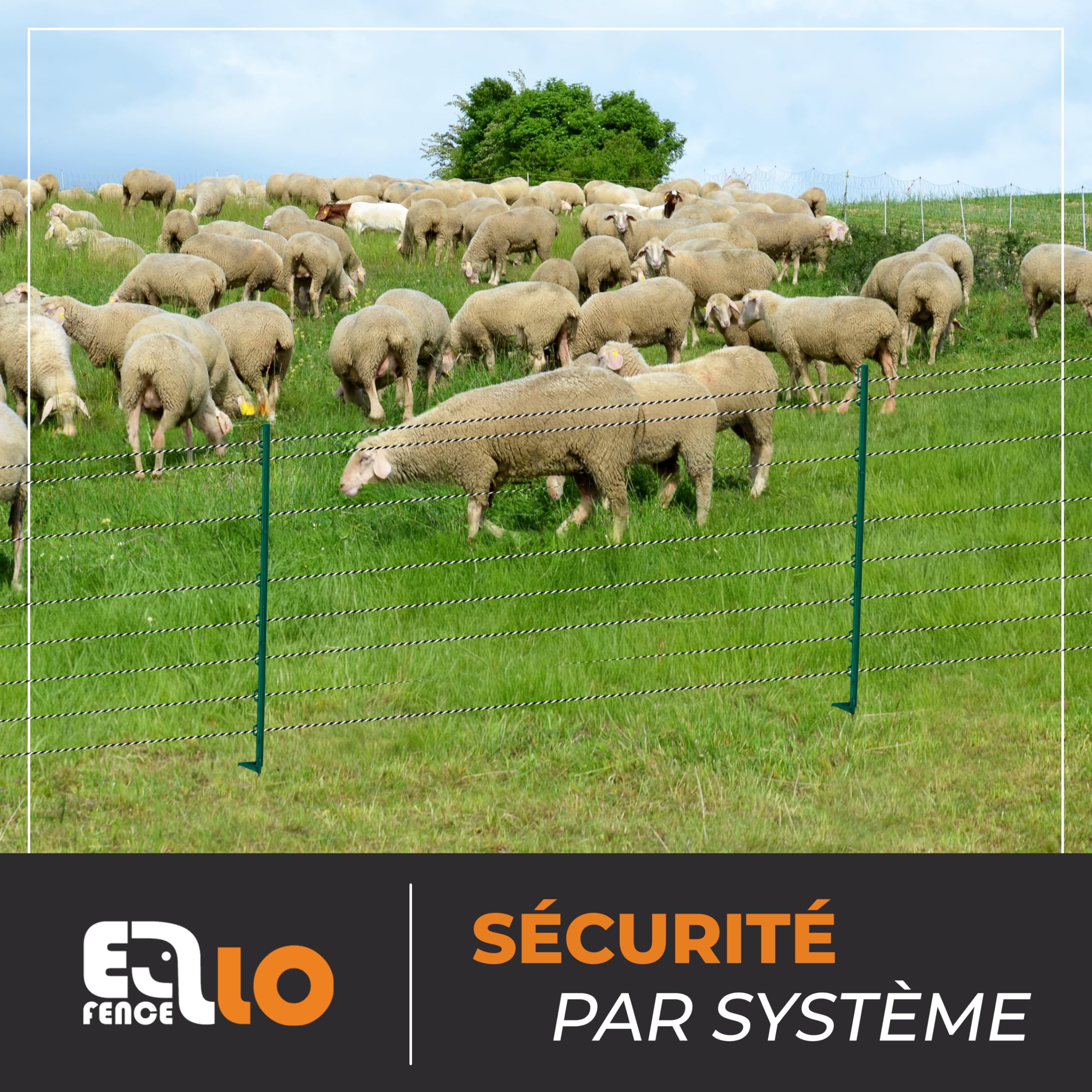 Piquet de clôture électrique avec pointe galvanisée (25x) – Piquet robuste avec repose-pied et 8 œillets pour fil, corde et ruban – Poteau stable pour pâturage