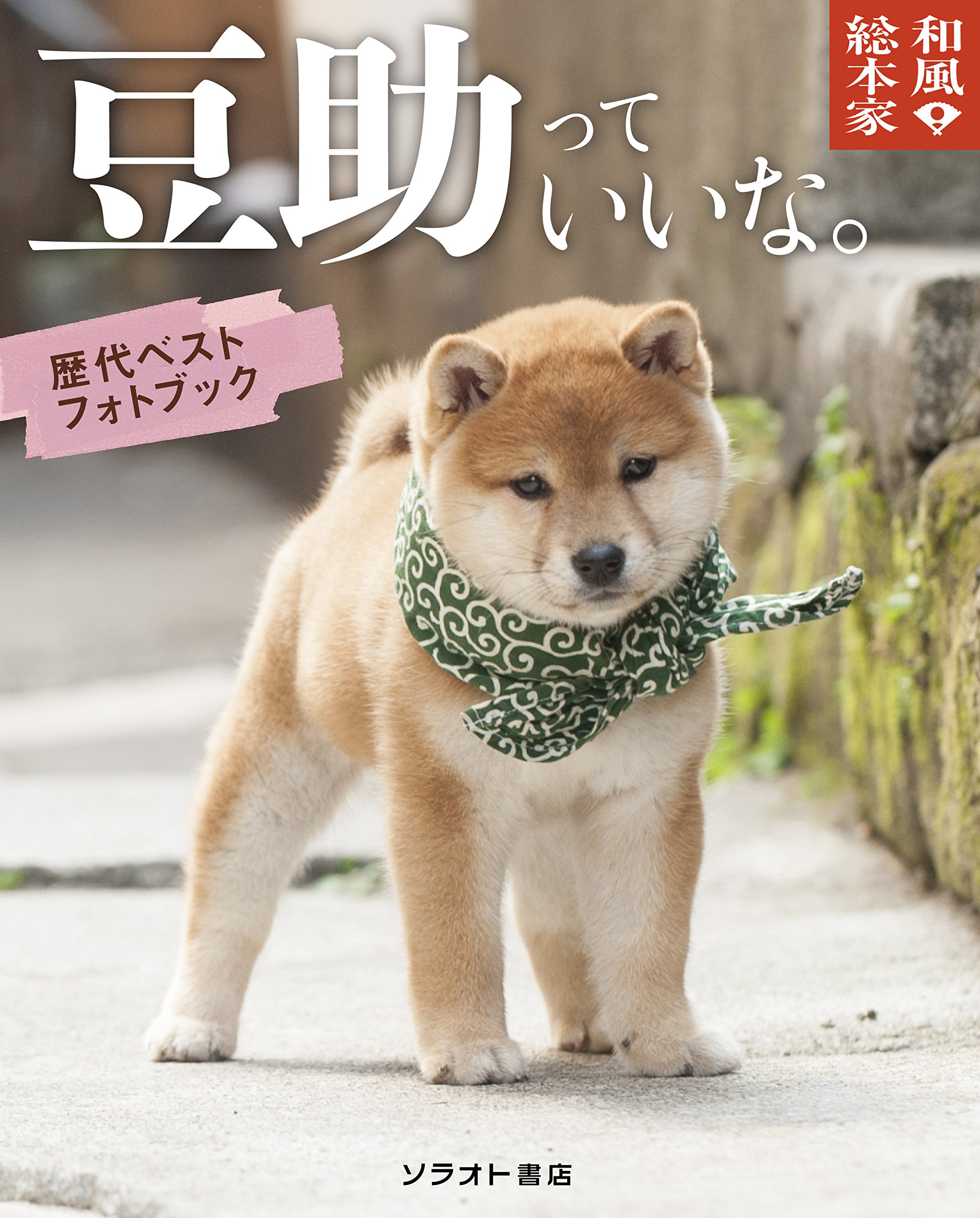 (未使用･未開封品)和風総本家 豆助っていいな。歴代ベスト(初代~11代目) [DVD] 91Q1vEscp1L.jpg