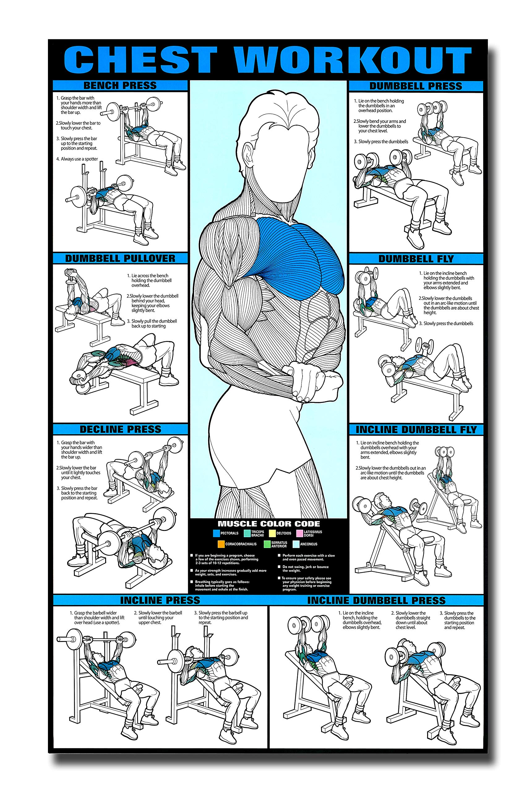 PIXELARTZ Wall Poster Chest Motivational Workout and Exercises Illustrations Bodybuilding Gym Posters HD Quality Posters for Home, Office, Room, Gym Wall - Multicolor (601)-image-6