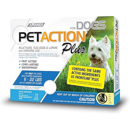 petaction collar