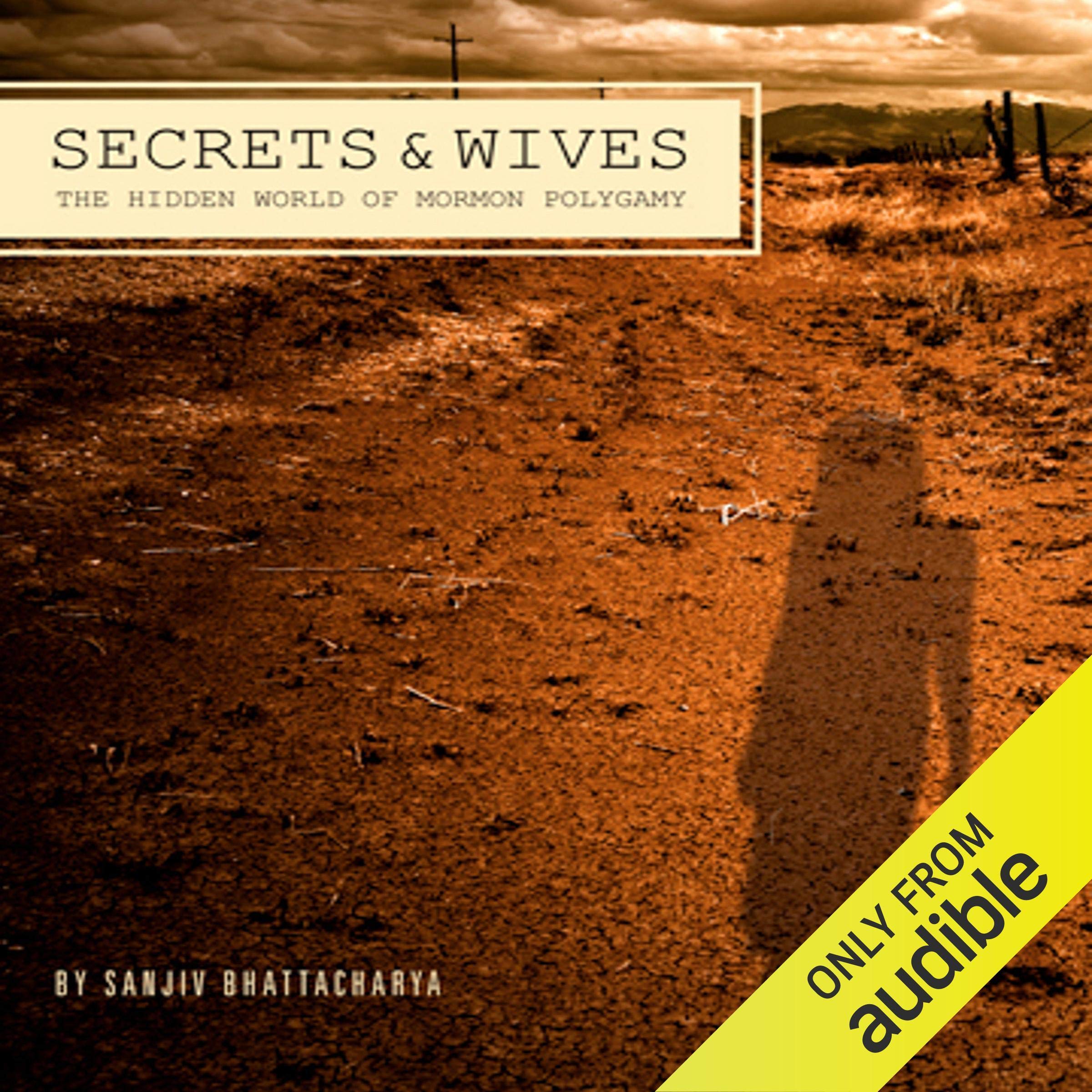 Cover art for Secrets and Wives