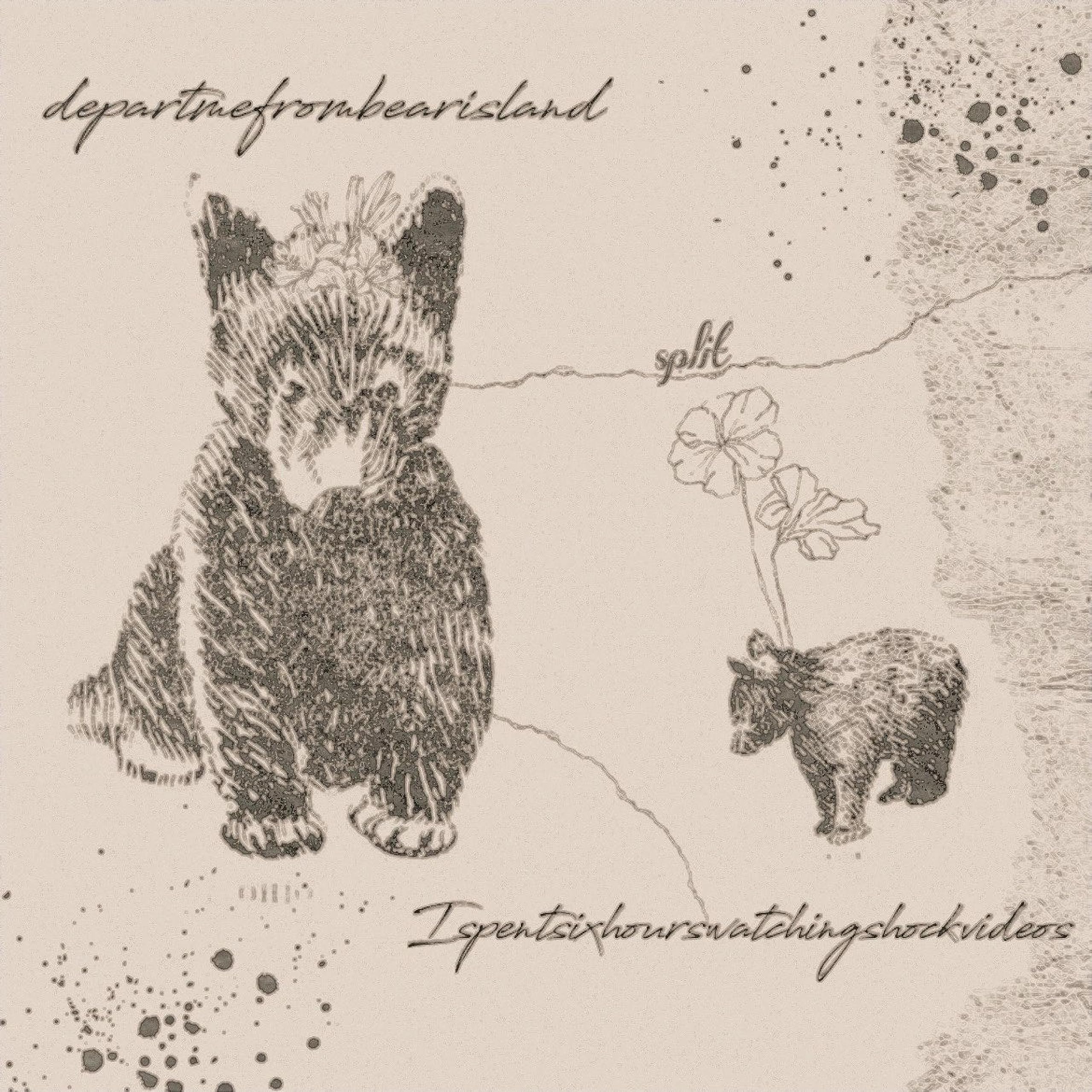 departmefrombearisland