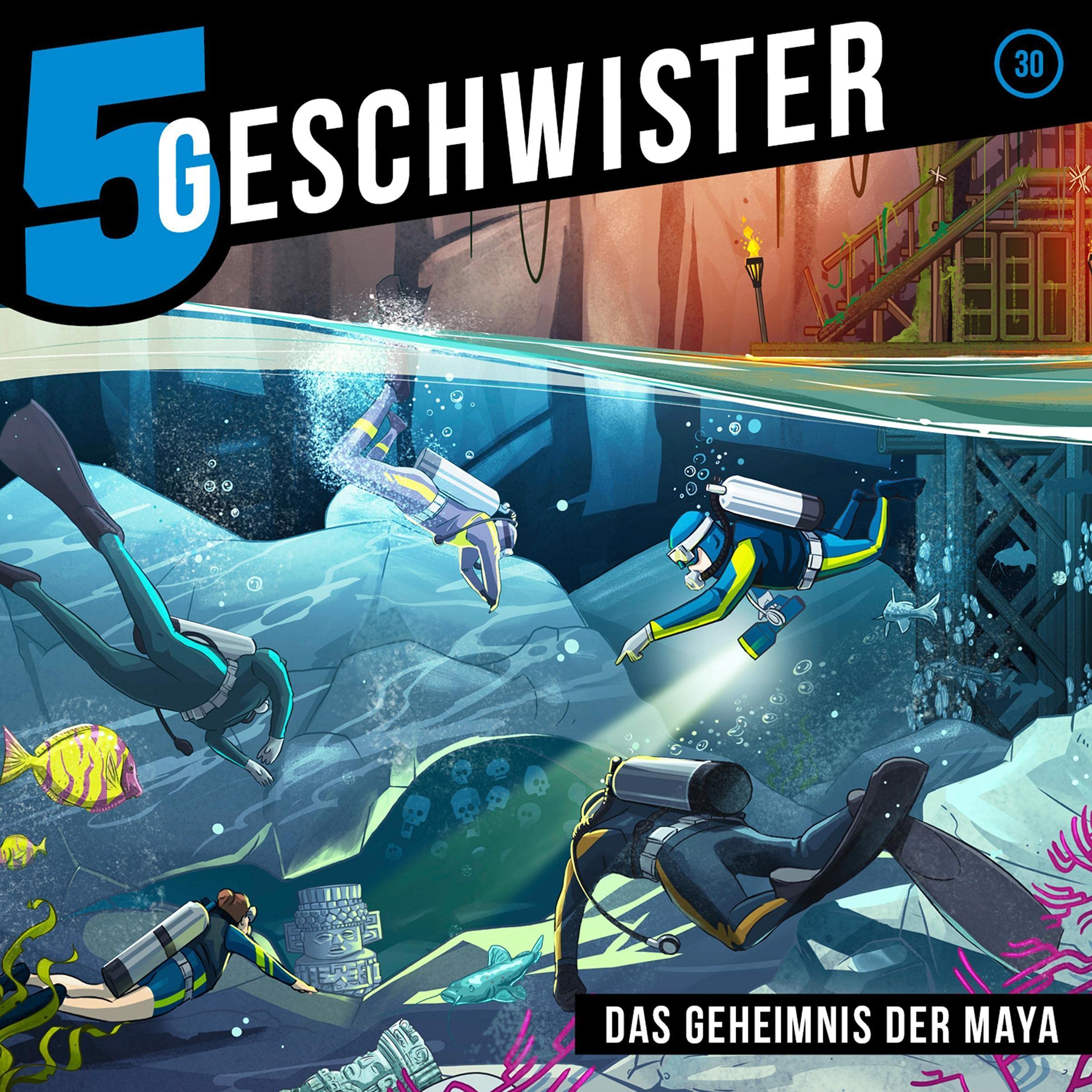 Cover art for Das Geheimnis der Maya