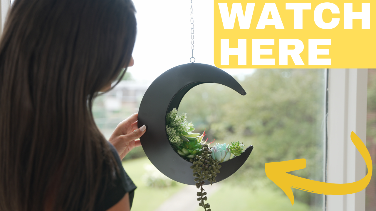 Amazon.com: Hanging Crescent Moon Planter - Moon Room Decor
