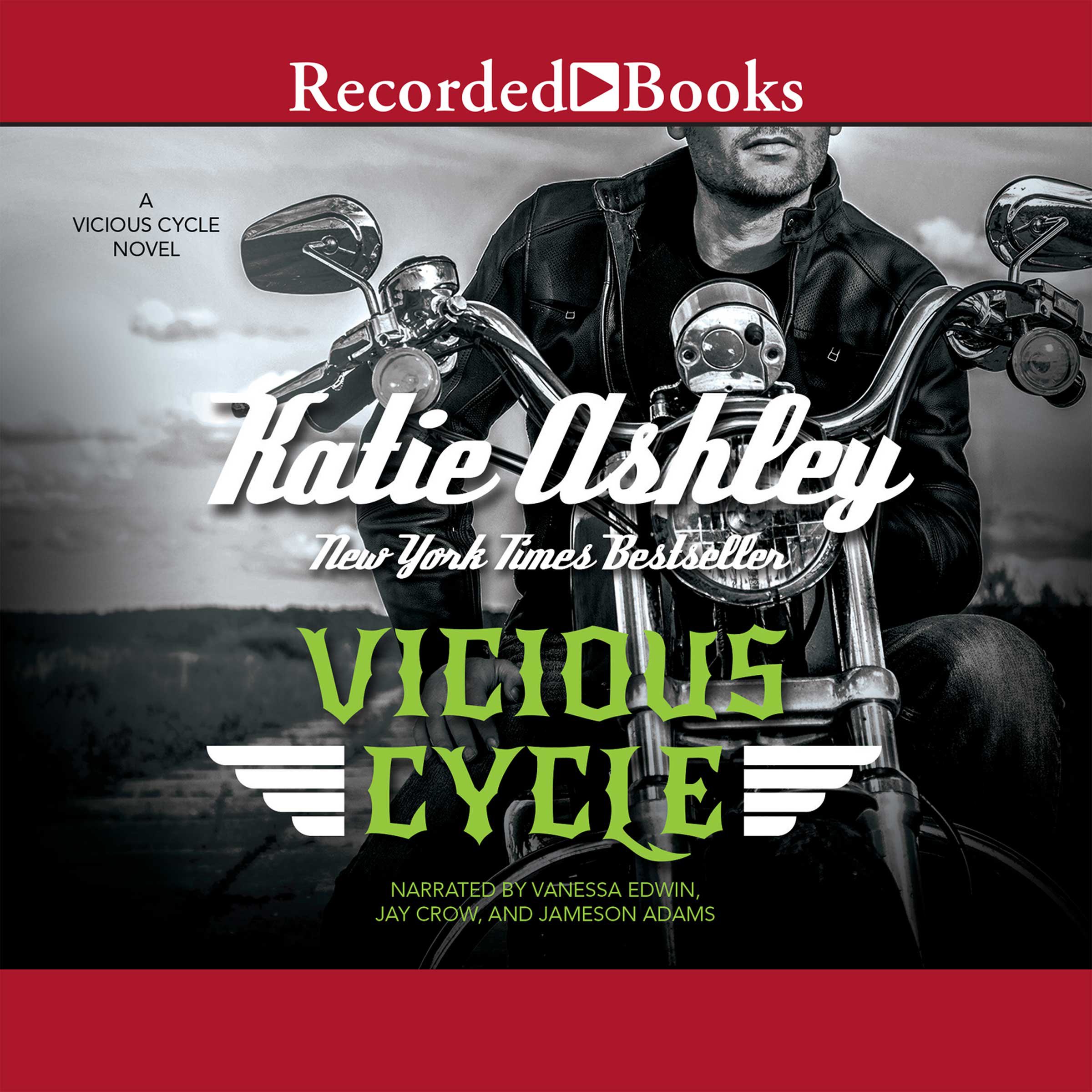 Cover art for Vicious Cycle