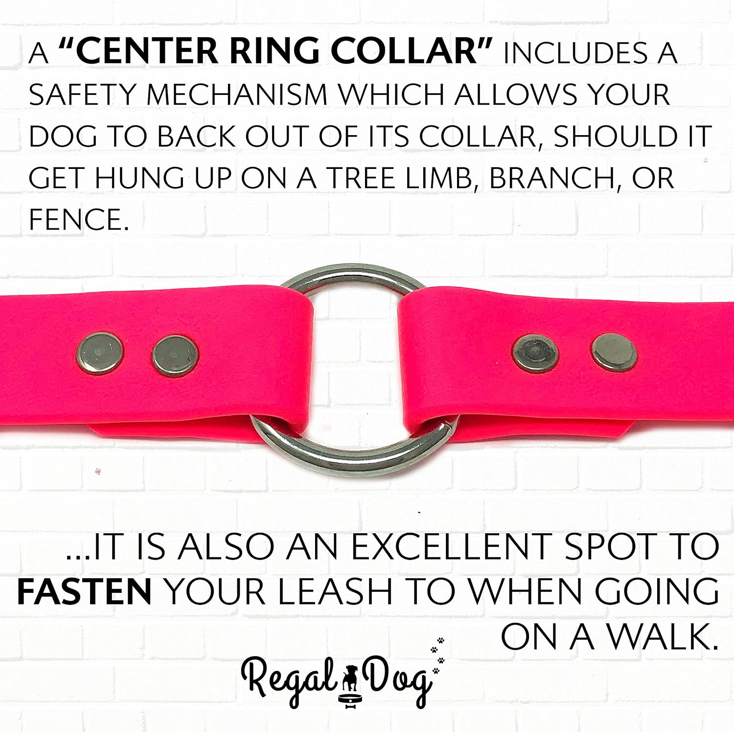 Regal Dog Products Medium Pink with Custom Engraved Waterproof Dog Collar and Leash Set | Waterproof Dog Collar with D Ring | Center Ring & 5'ft Leash | Matching Dog Collar and Leash for Dogs